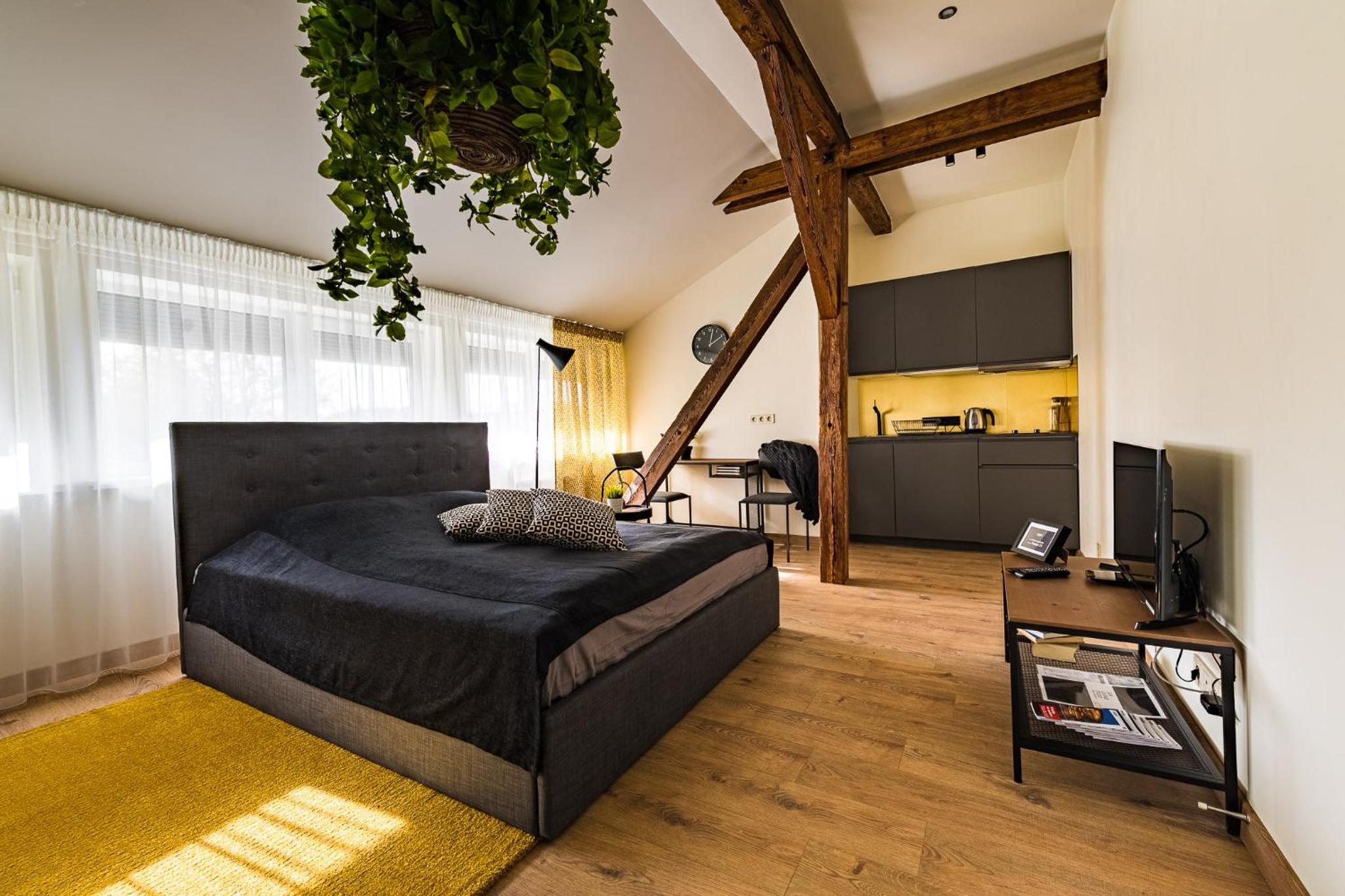 Studio Apartment photo 1