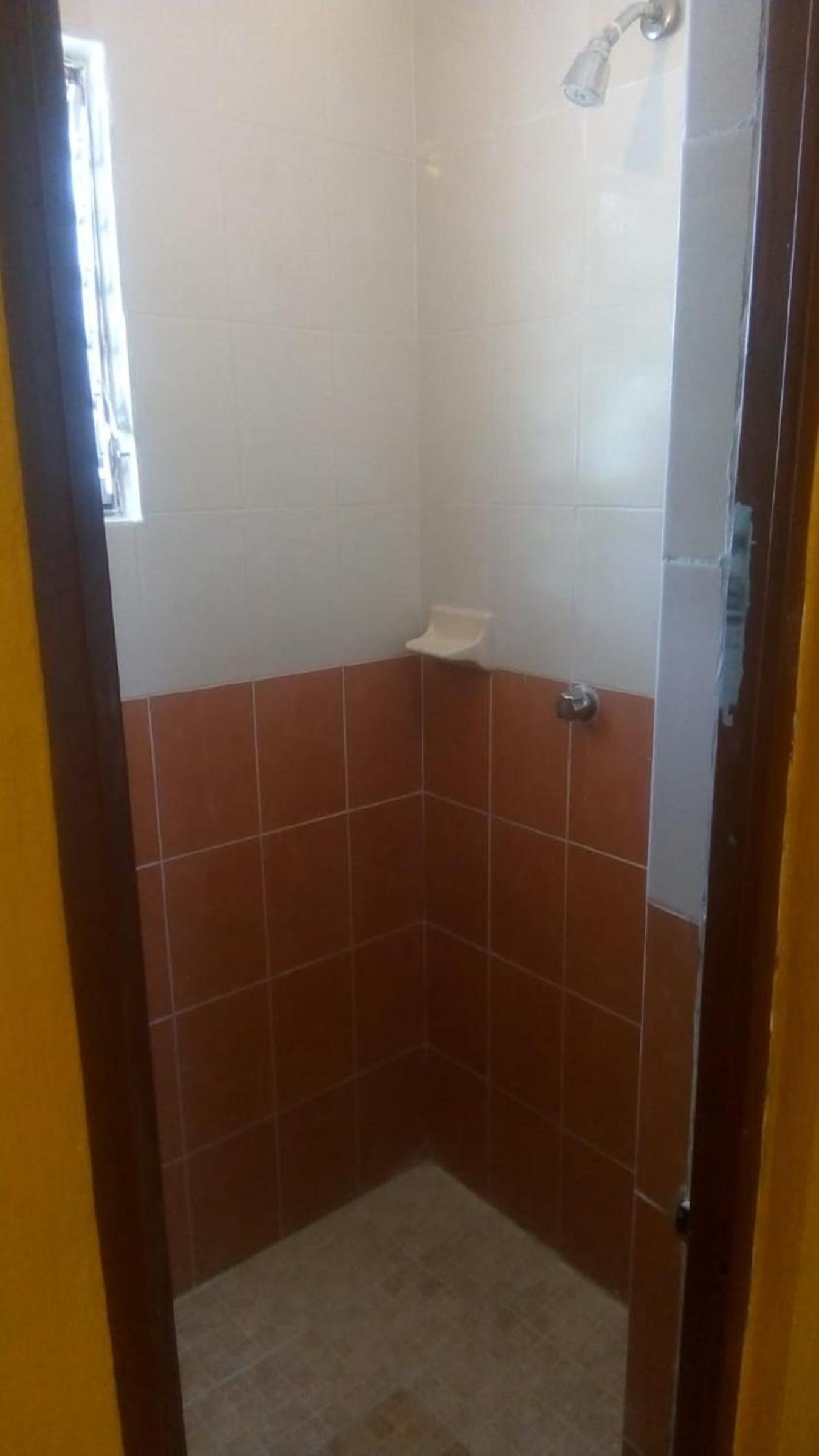 Single Bed in Mixed Dormitory Room photo 2