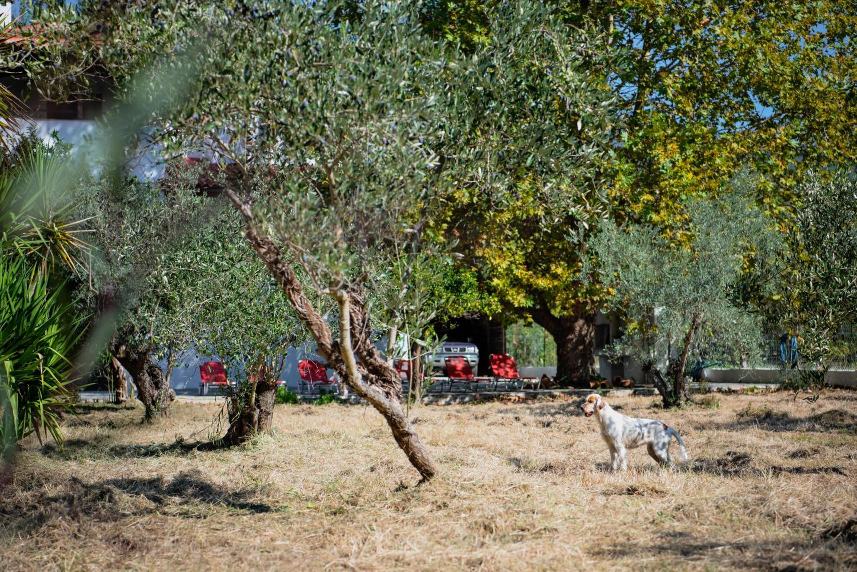 Villa photo 3