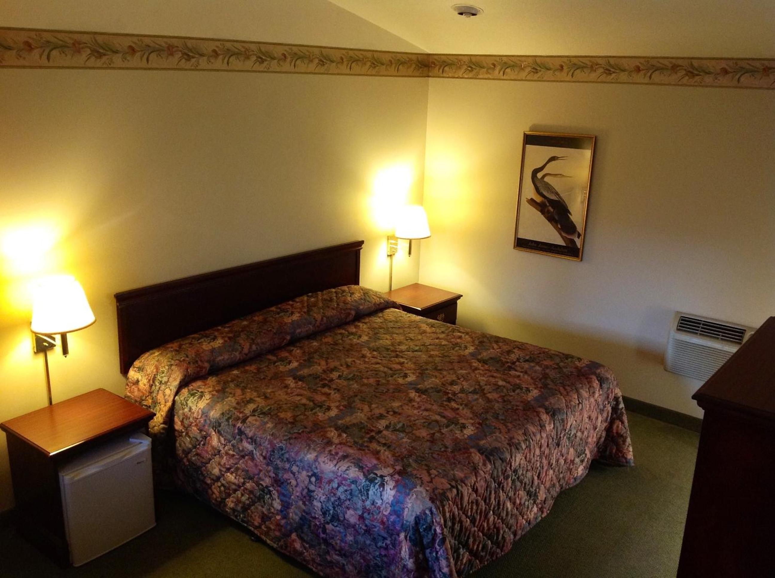 King Room photo 1