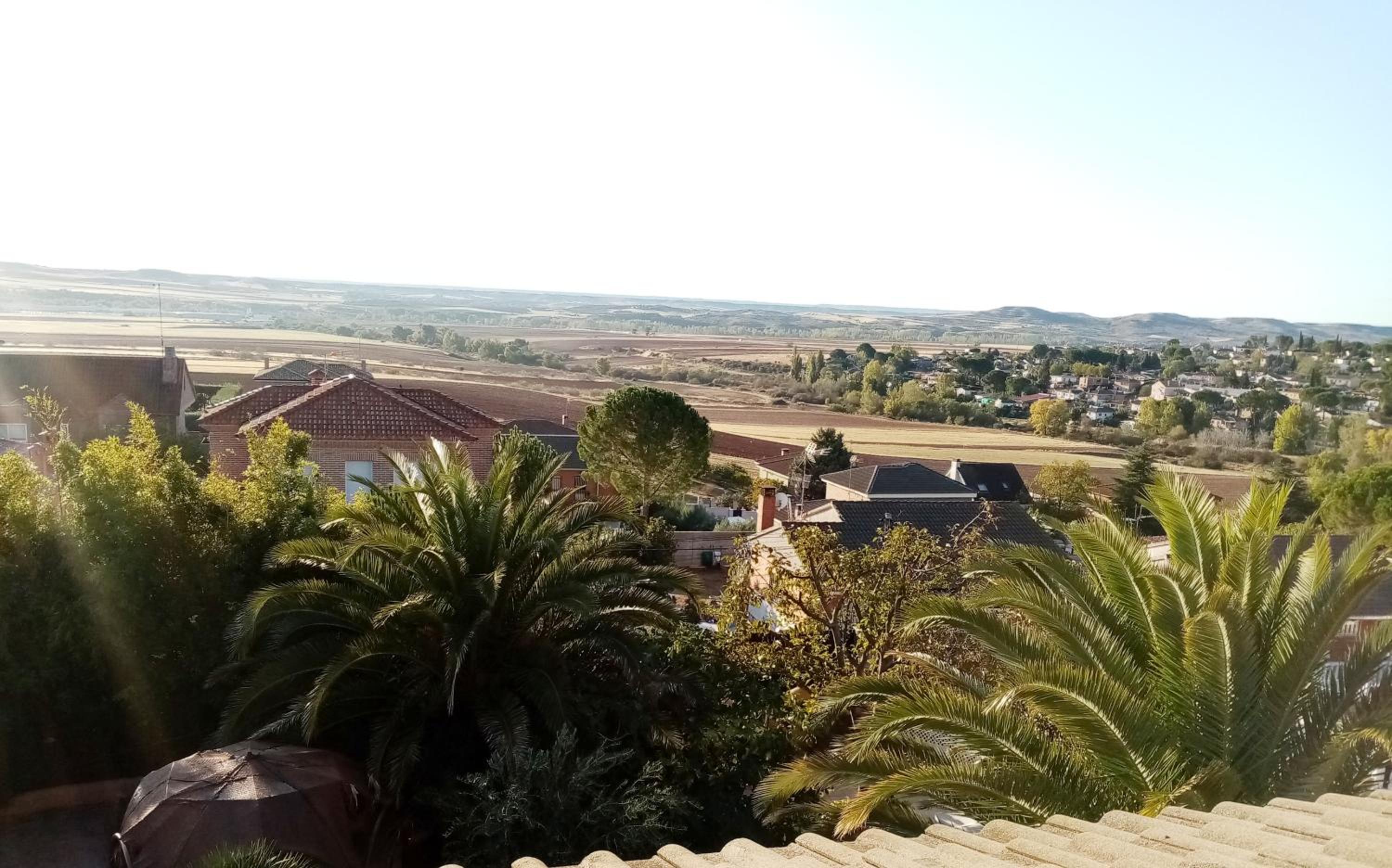 Apartment with Terrace photo 2