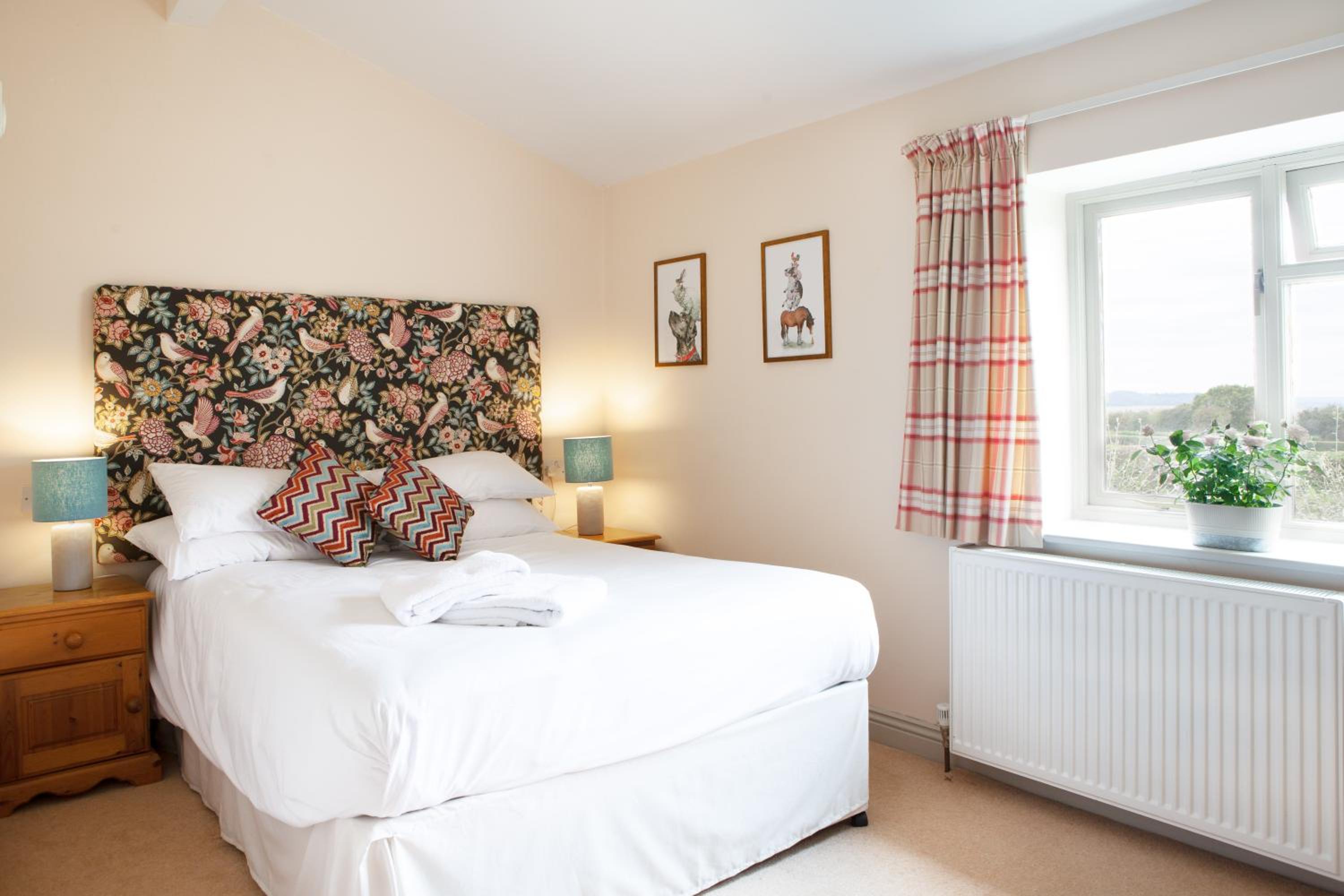 King Room  photo 1