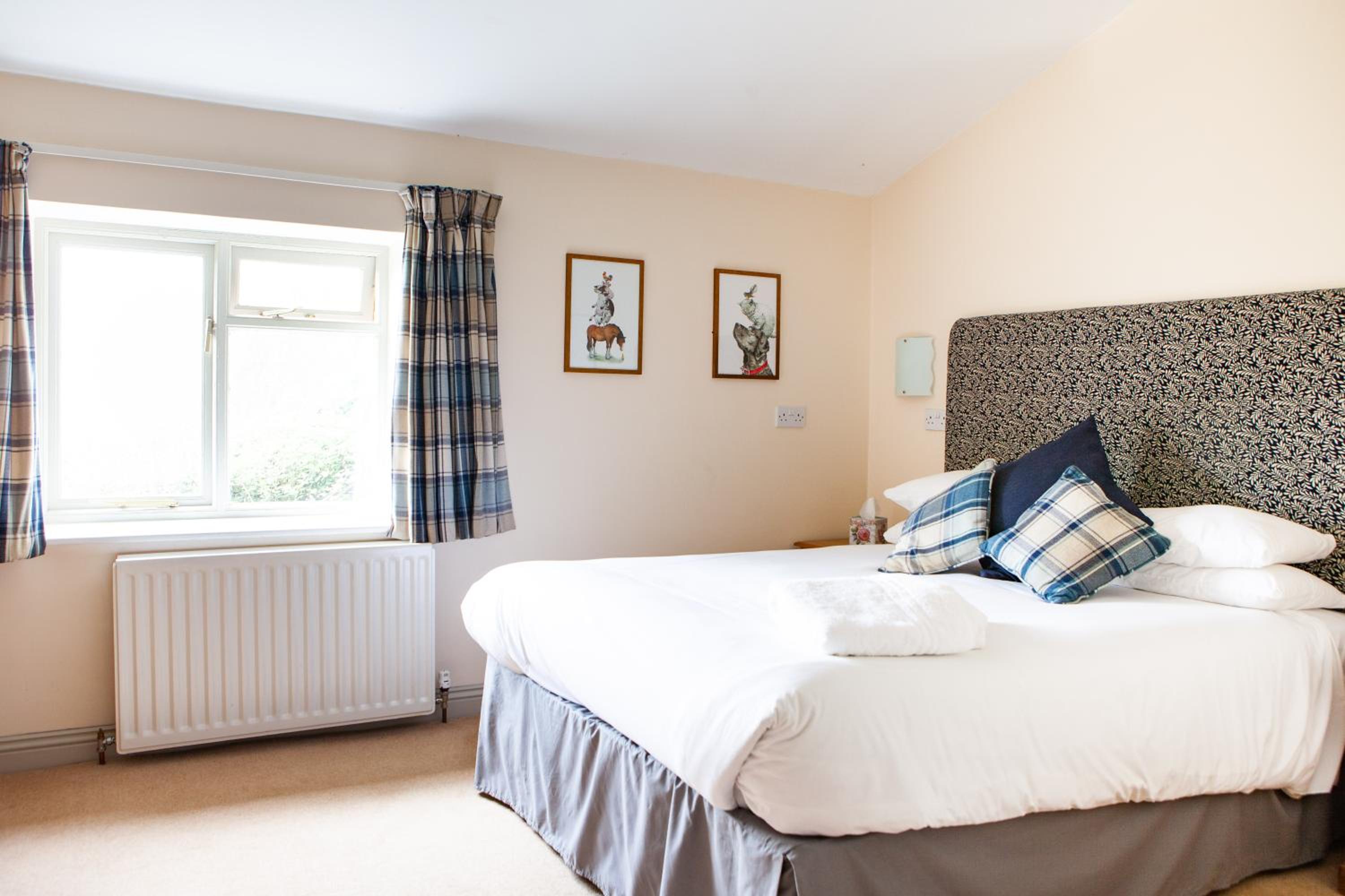 Twin Room photo 1