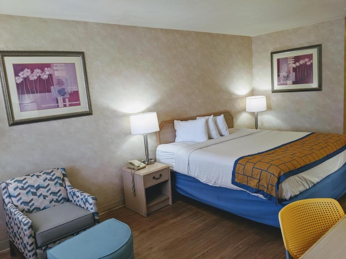 King Room - Non-Smoking photo 1