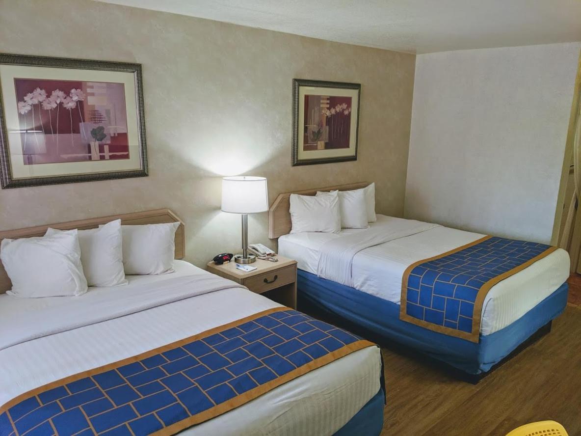 Queen Room with Two Queen Beds - Non-Smoking photo 1