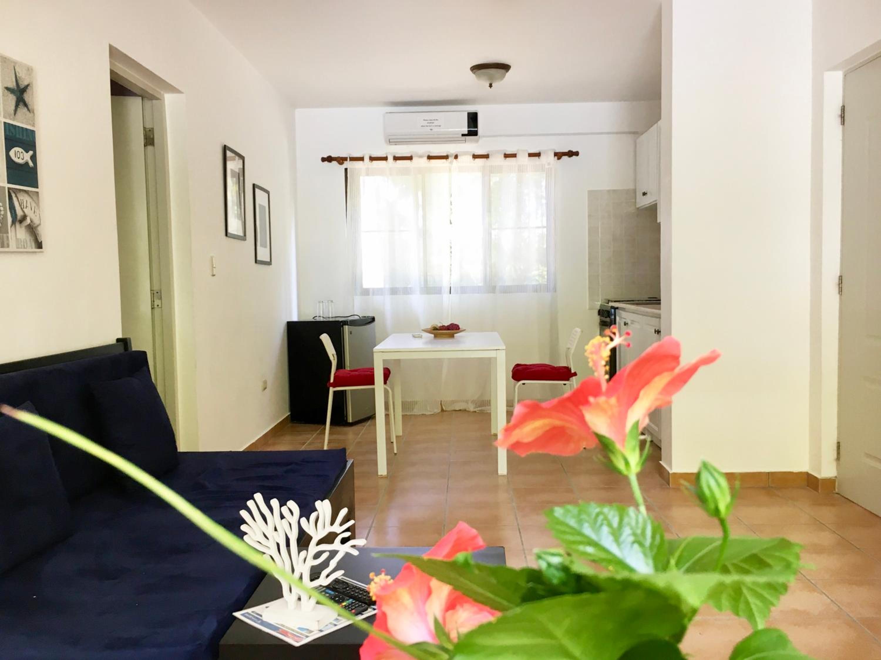 One-Bedroom Apartment photo 2