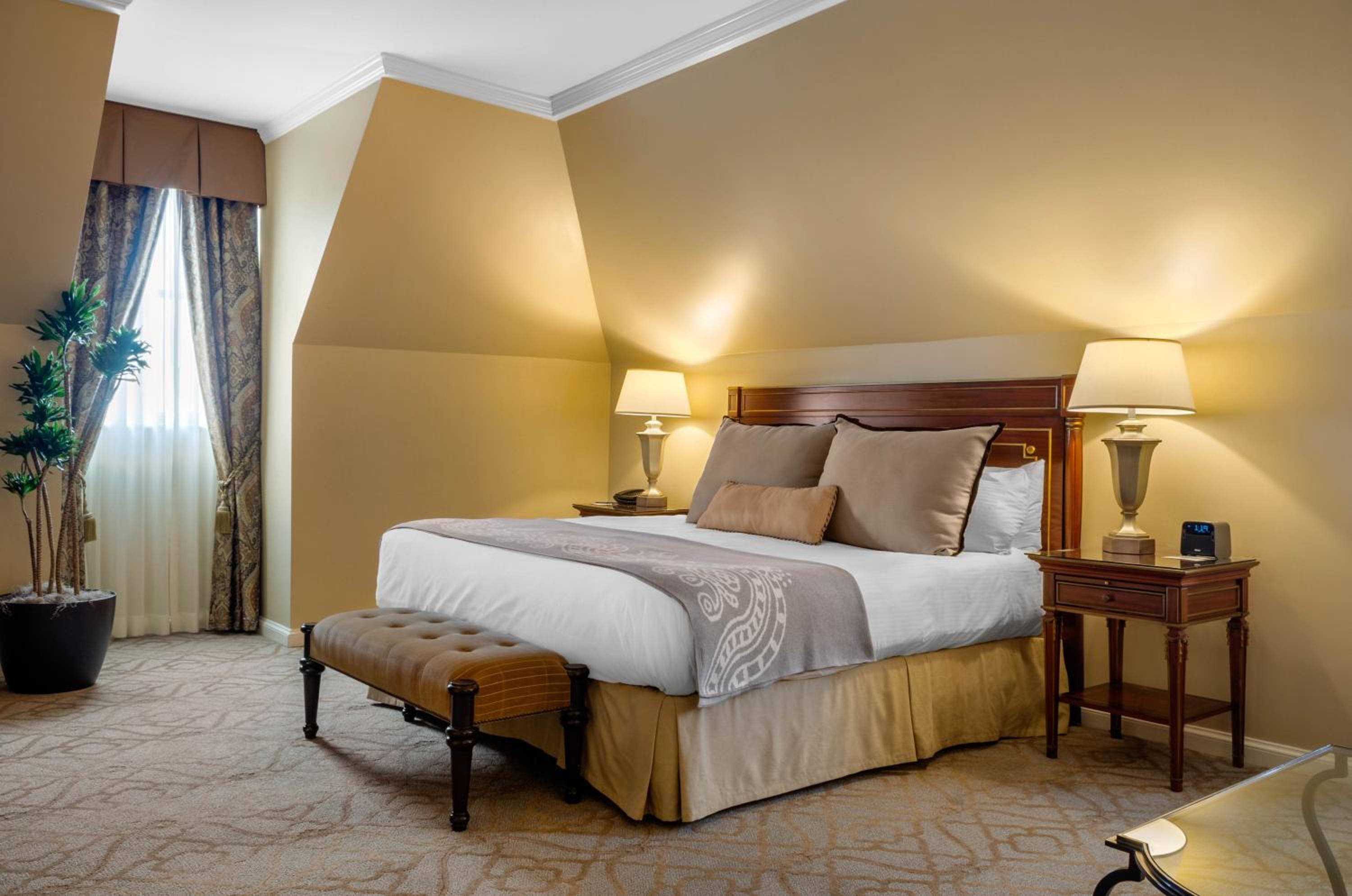 Petite King Suite - Photo 4