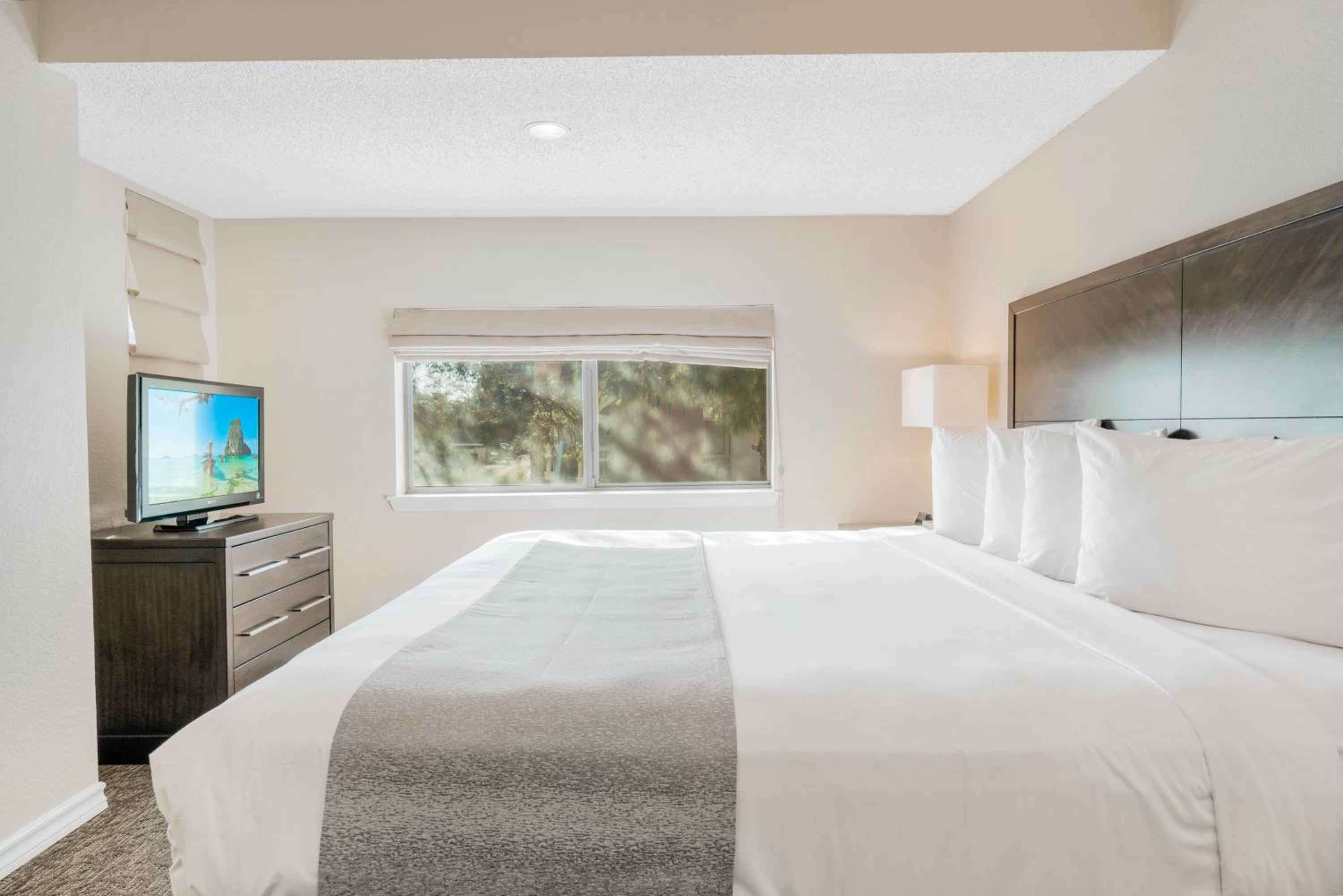 Two-Bedroom Suite - Photo 11