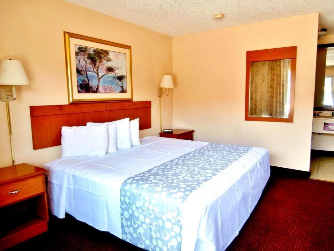 1 King Bed Non-Smoking photo 3