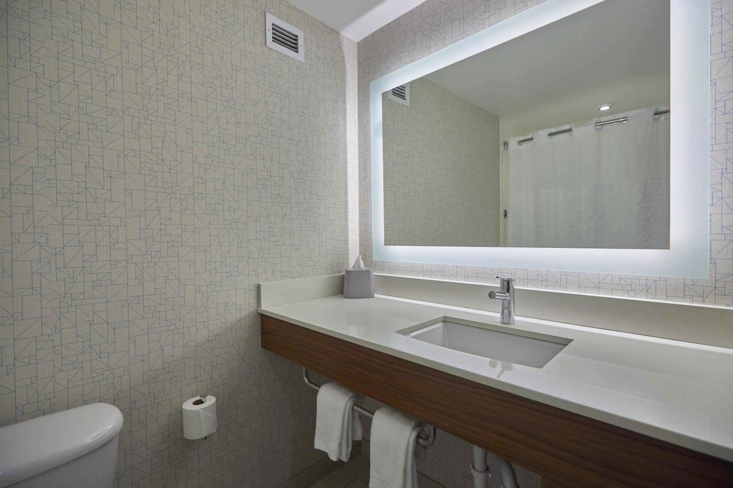 King Suite - Communications and Mobility Accessible Tub - Photo 6