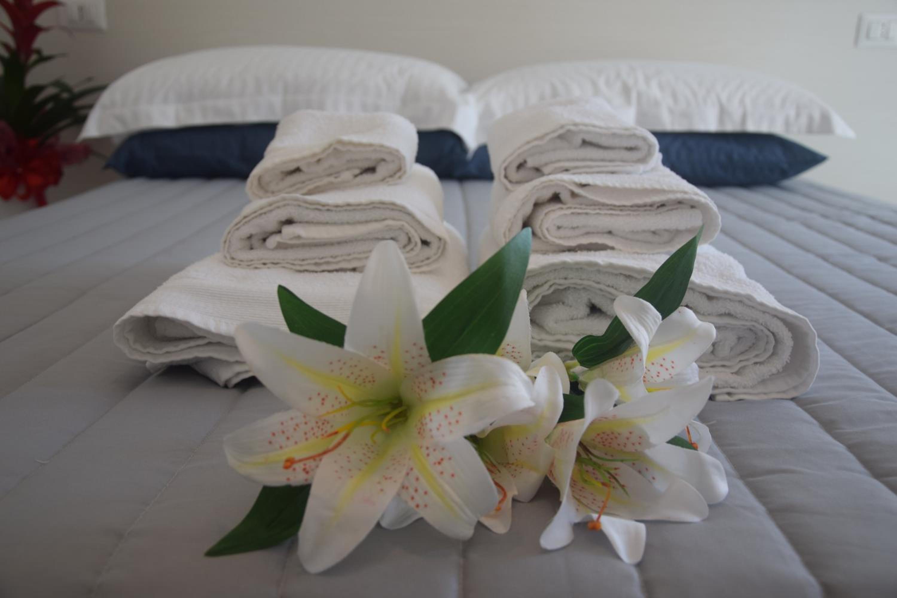 Deluxe Double or Twin Room with Balcony - Photo 12