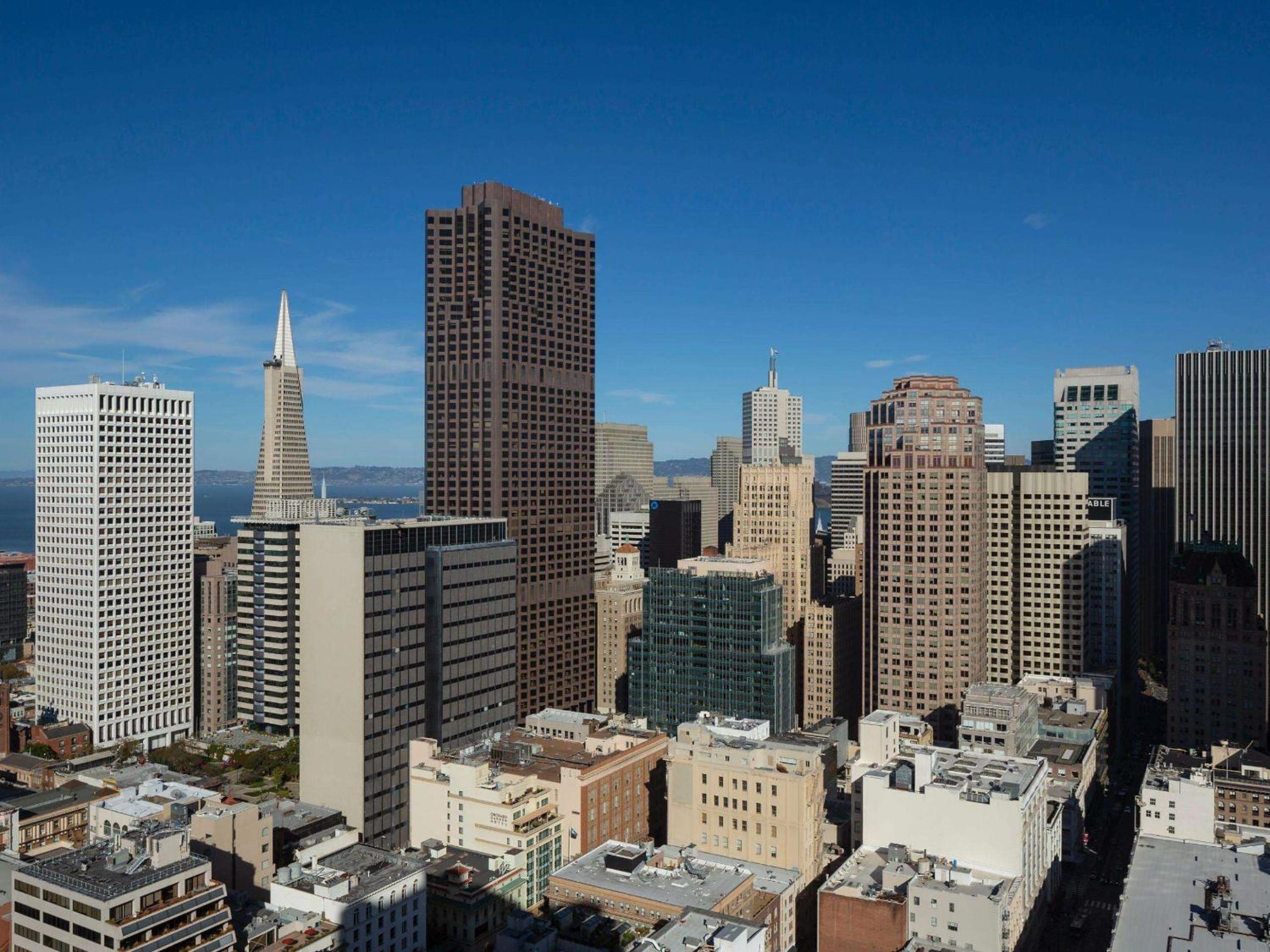 Executive Suite with City View thumbnail 6