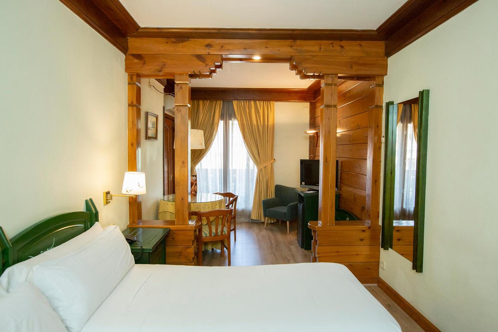 Twin Room with Spa Access photo 2