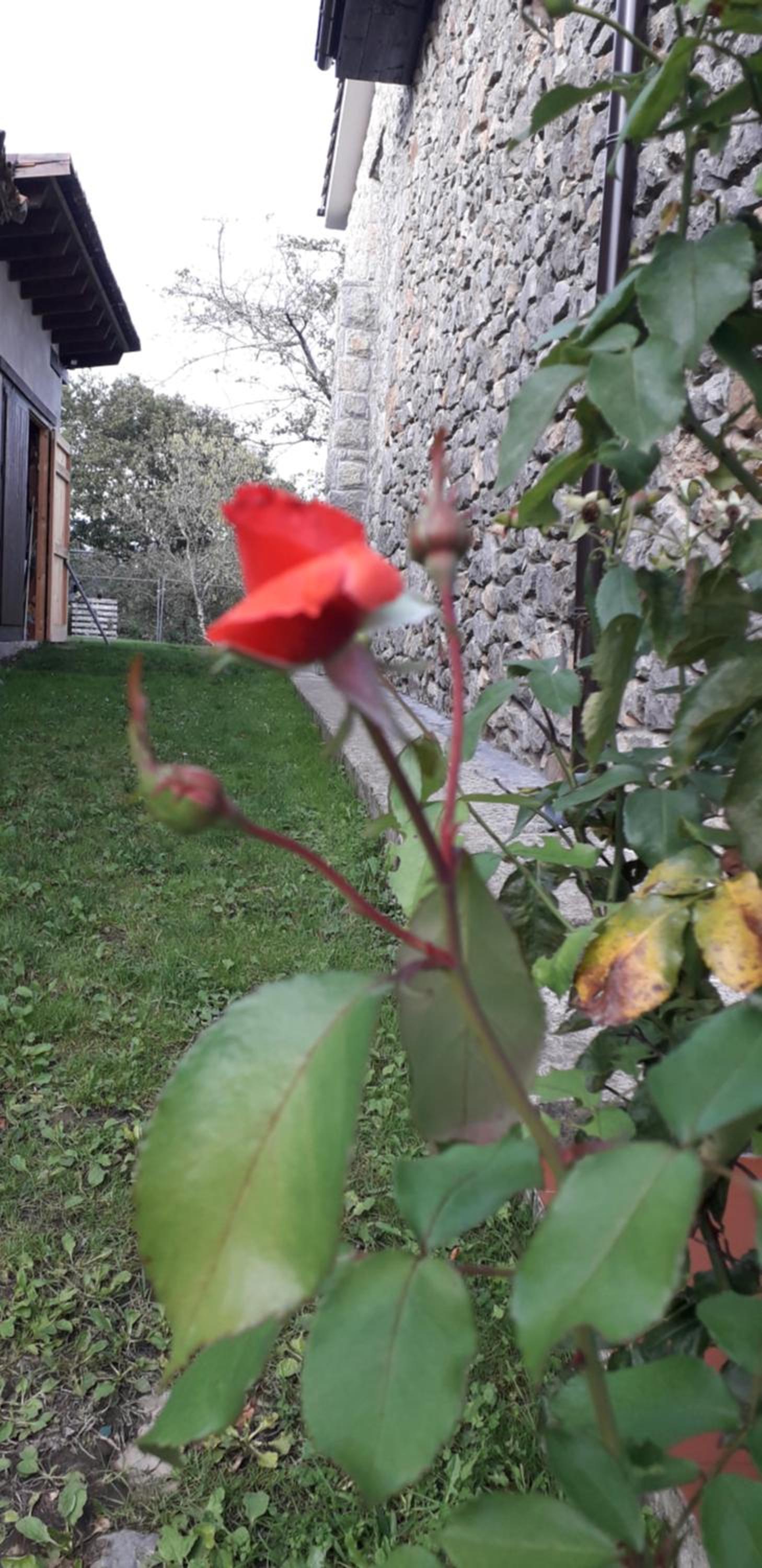 Vacation Home - Photo 22