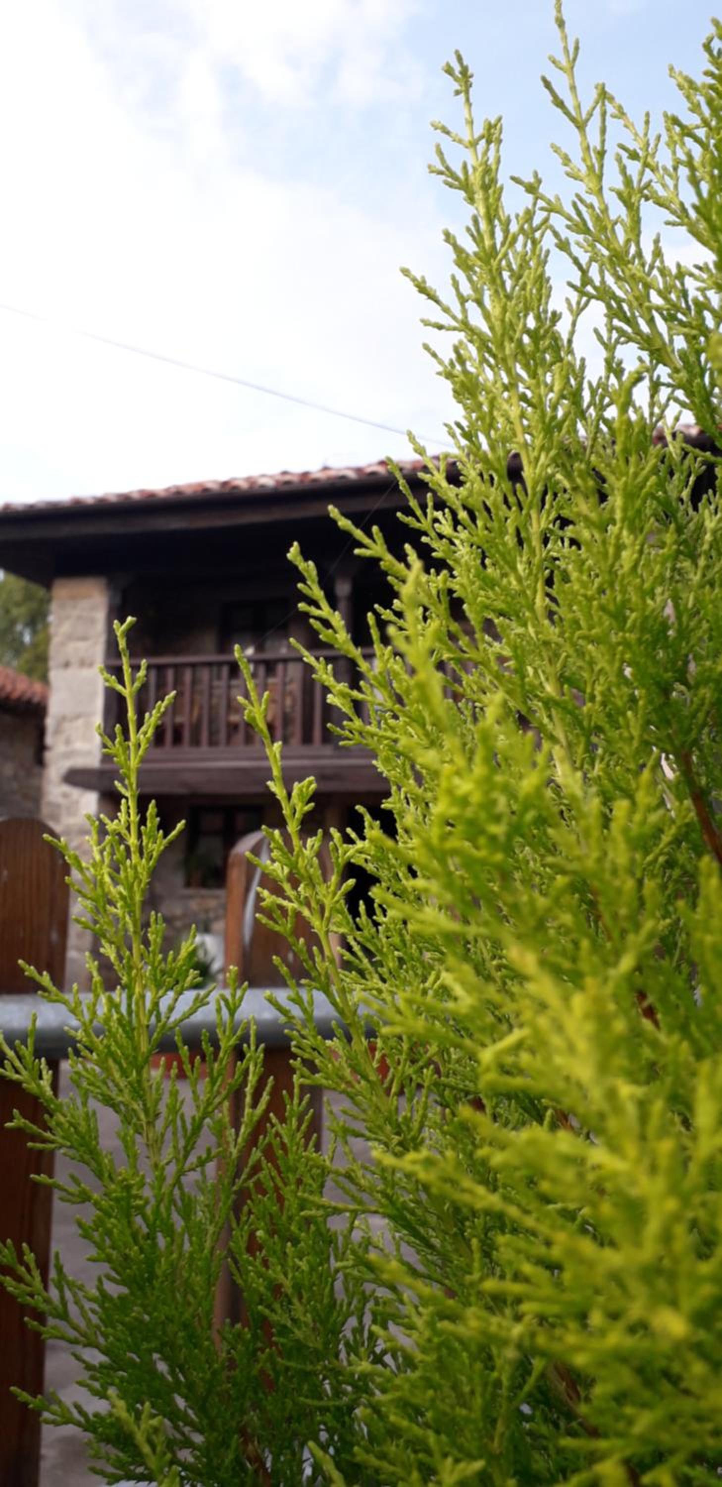 Vacation Home - Photo 25