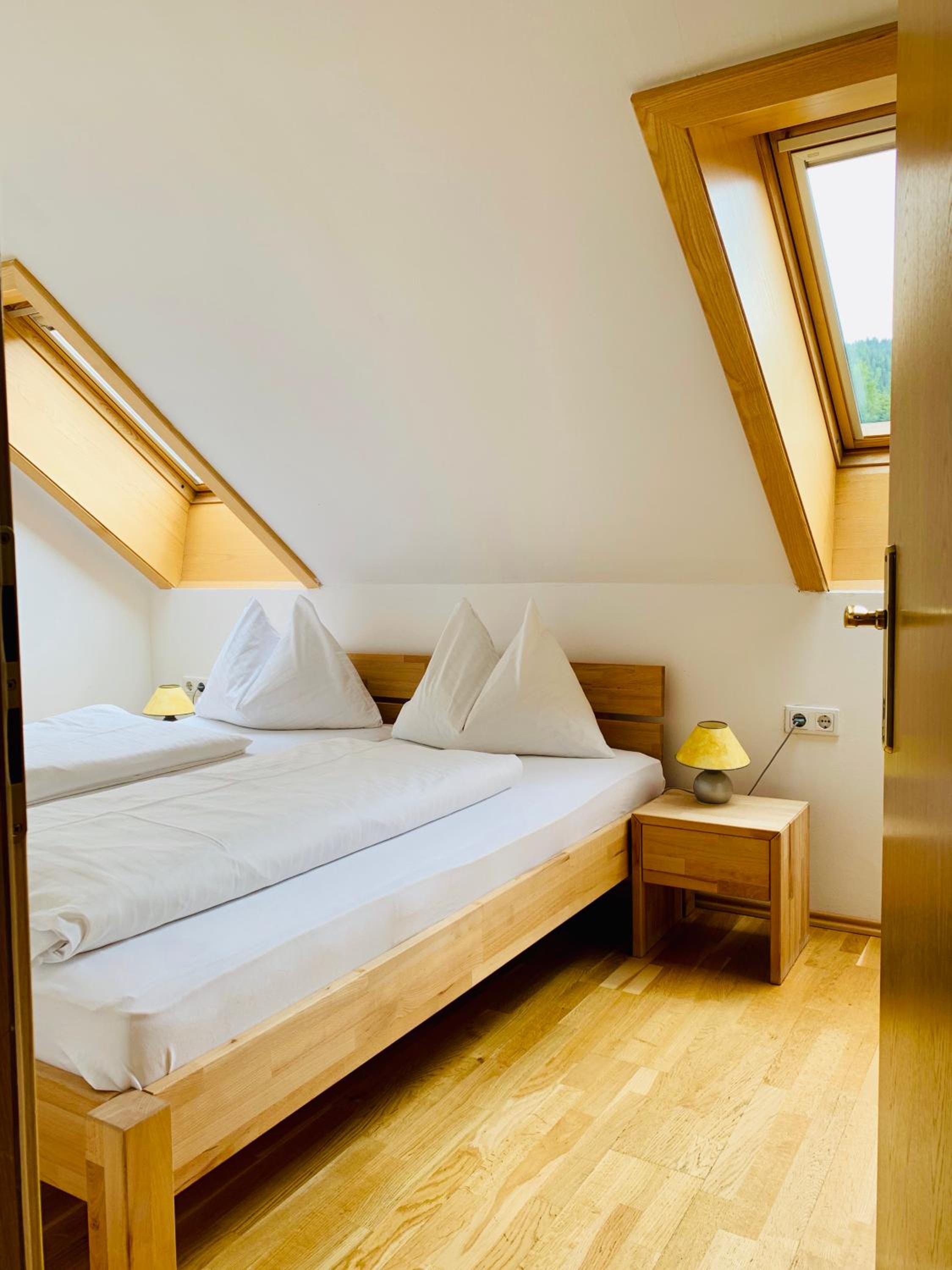 Duplex Apartment photo 3