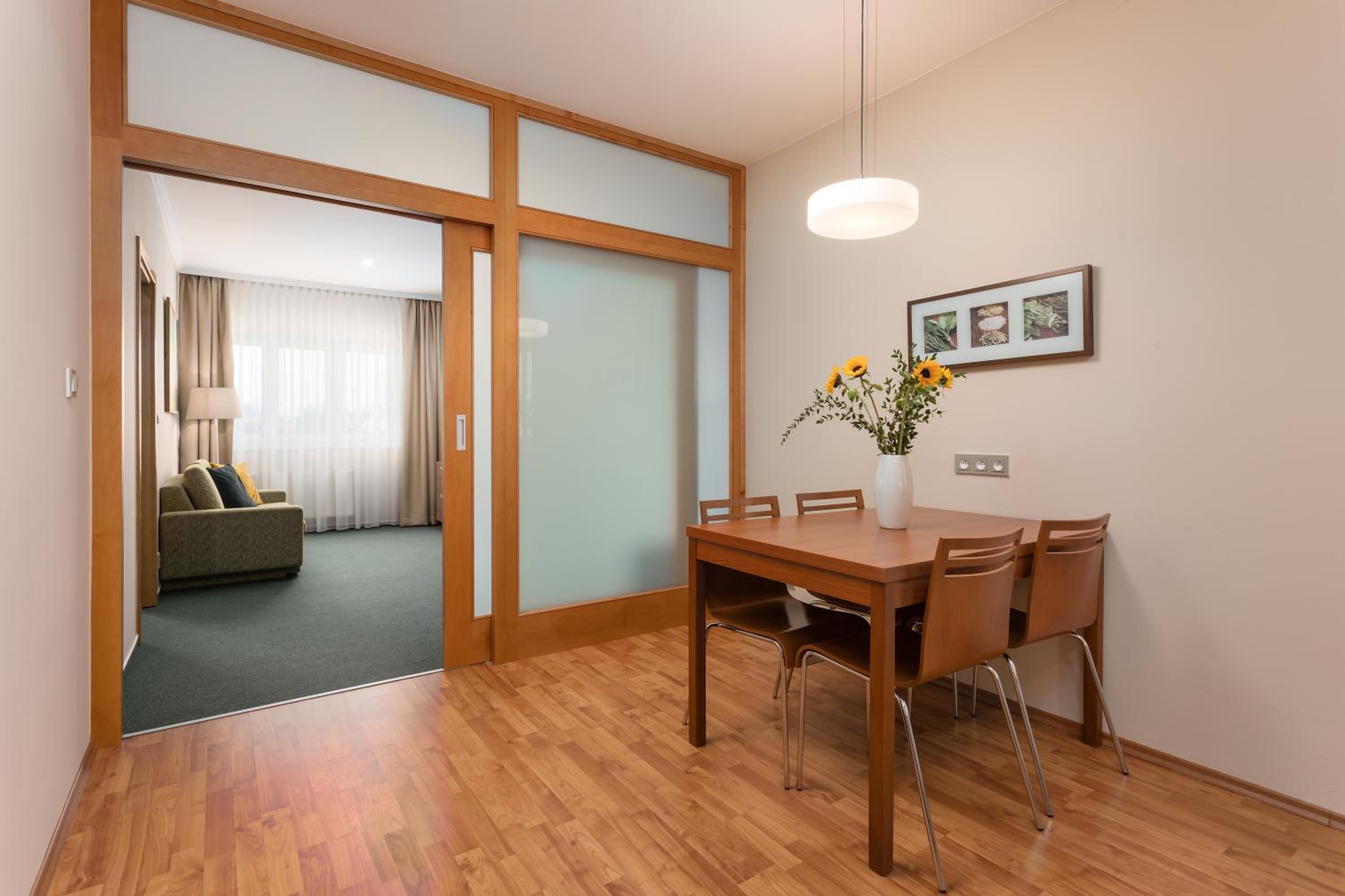 One-Bedroom Apartment photo 3