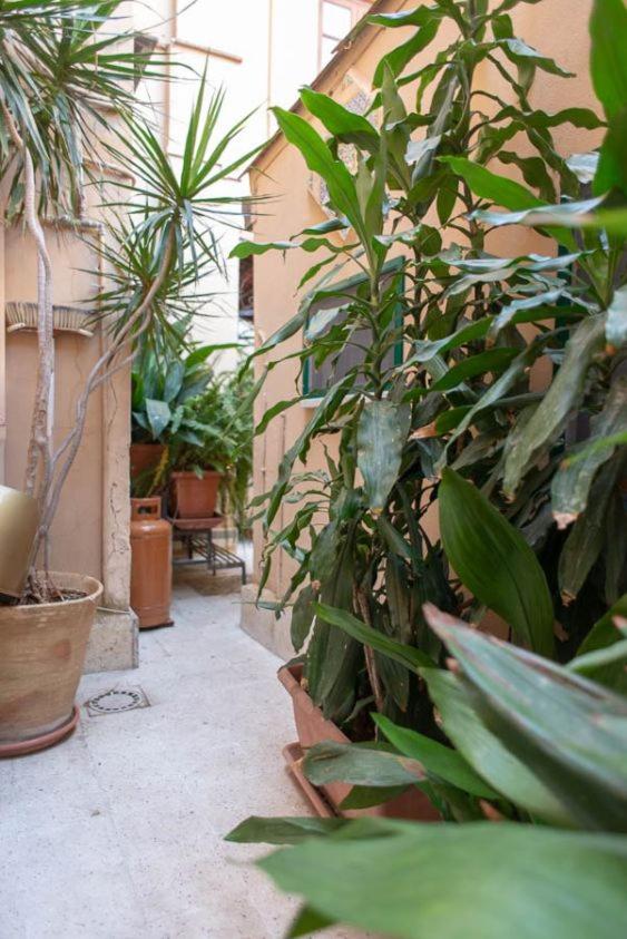 Apartment with Terrace - Photo 7