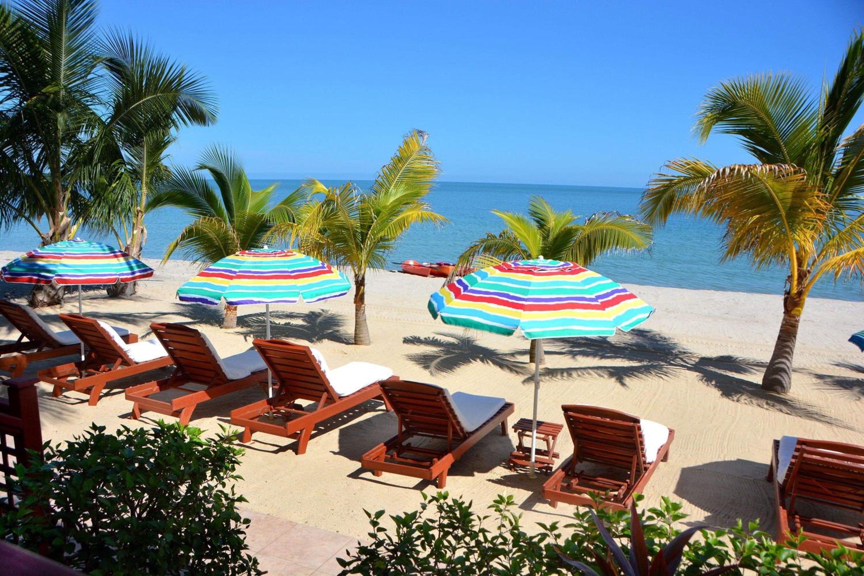 One Bedroom Suite Ocean Front