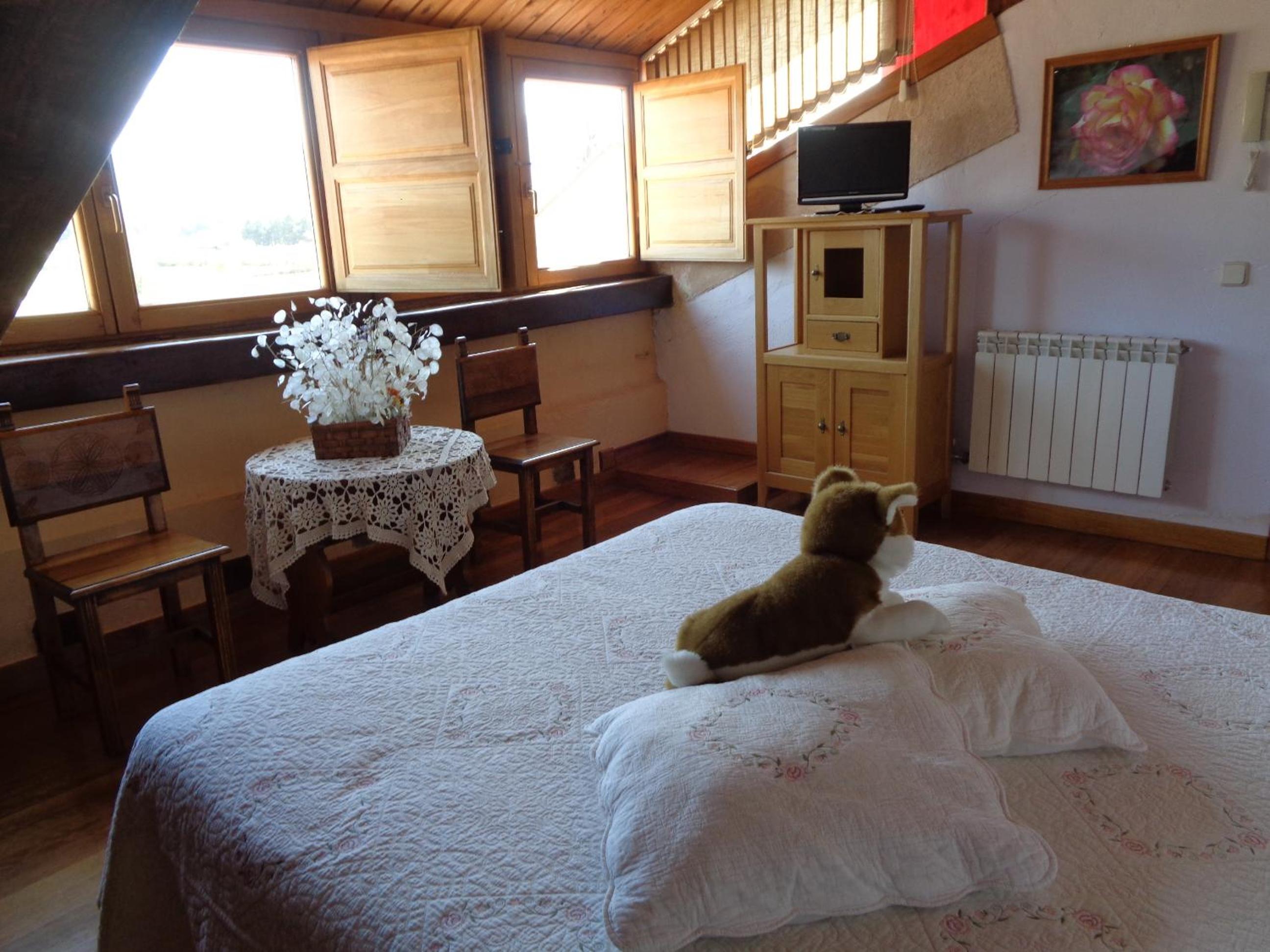 Double Room photo 3
