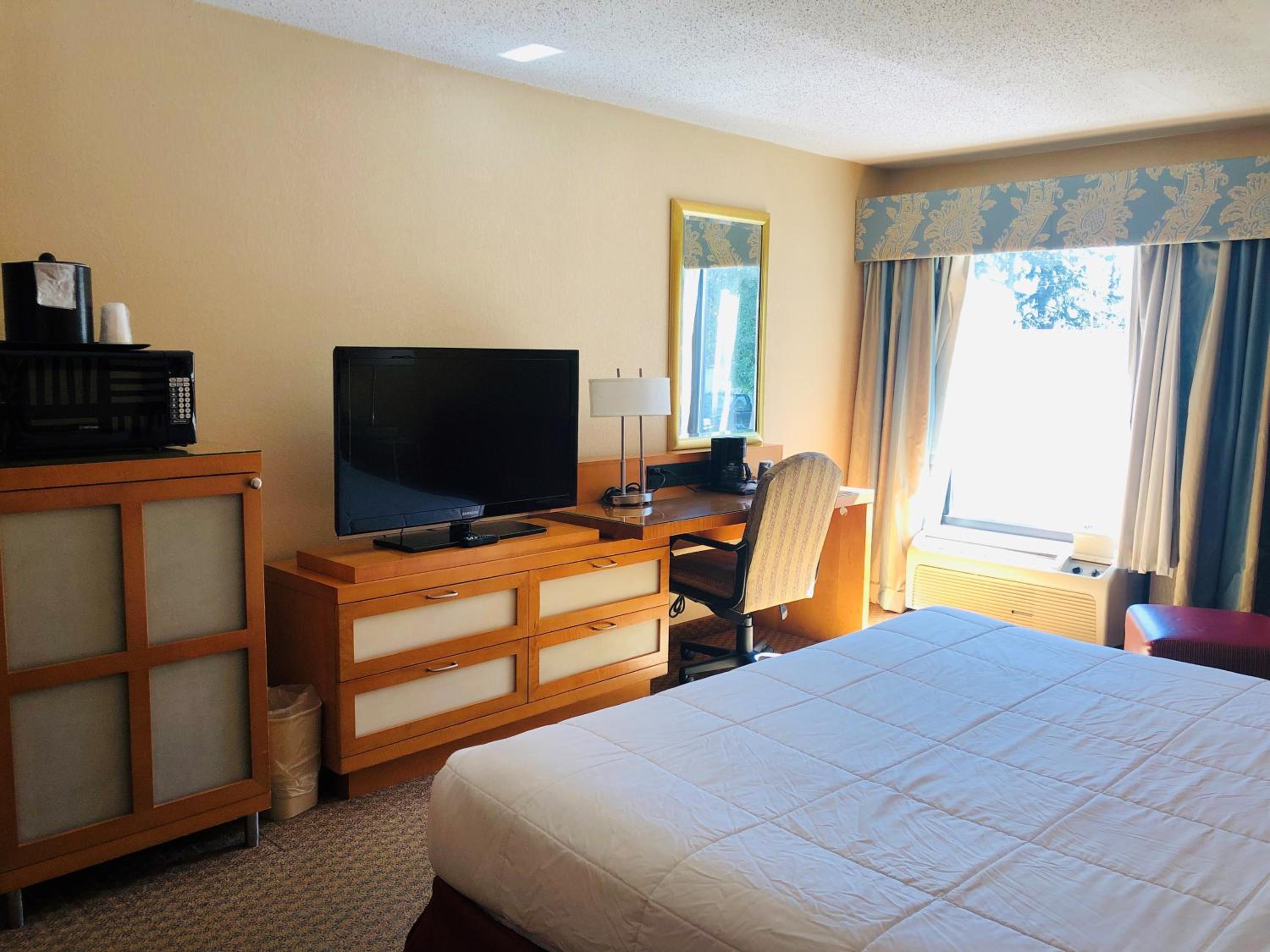 King Room photo 1