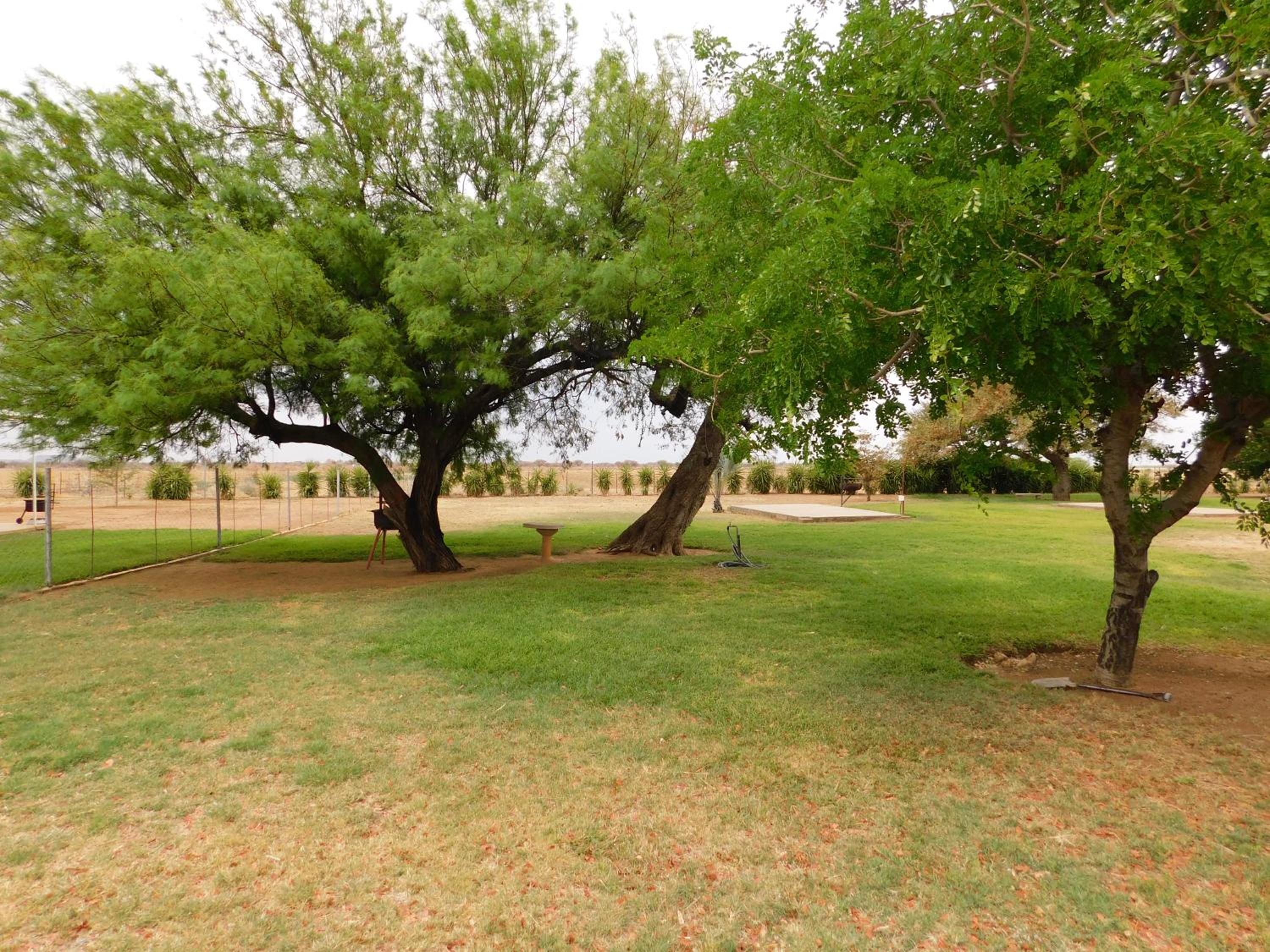 Campground photo 2