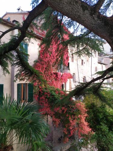 Holiday Home photo 2
