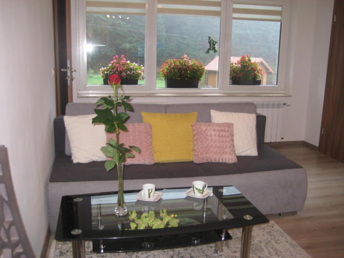 One-Bedroom Apartment - Photo 4