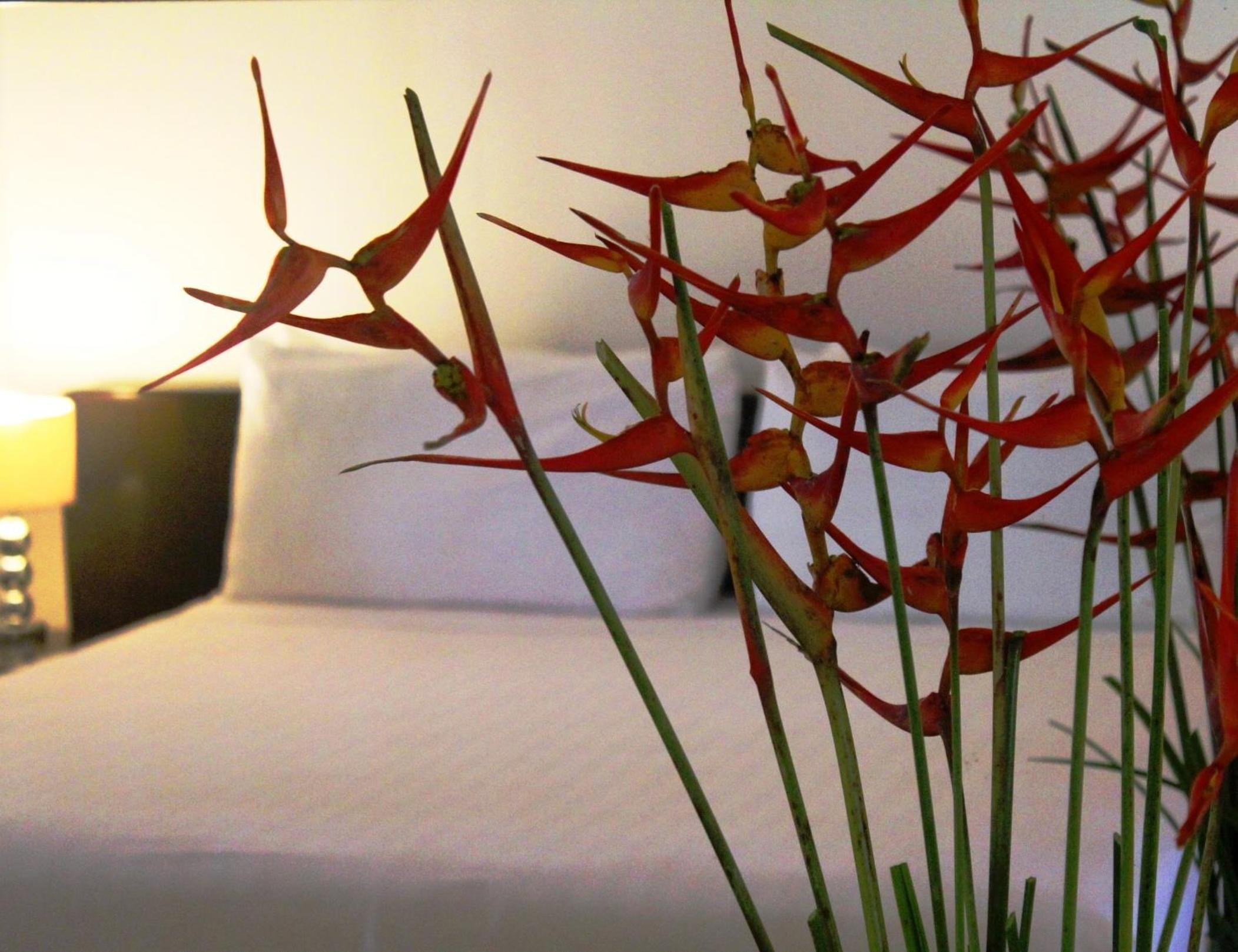 Junior Suite - Photo 8