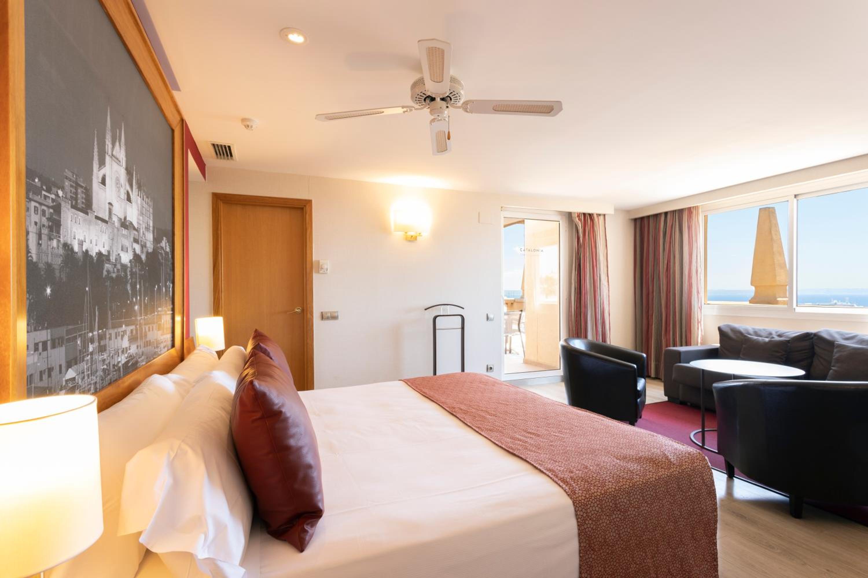Suite Junior con Terraza