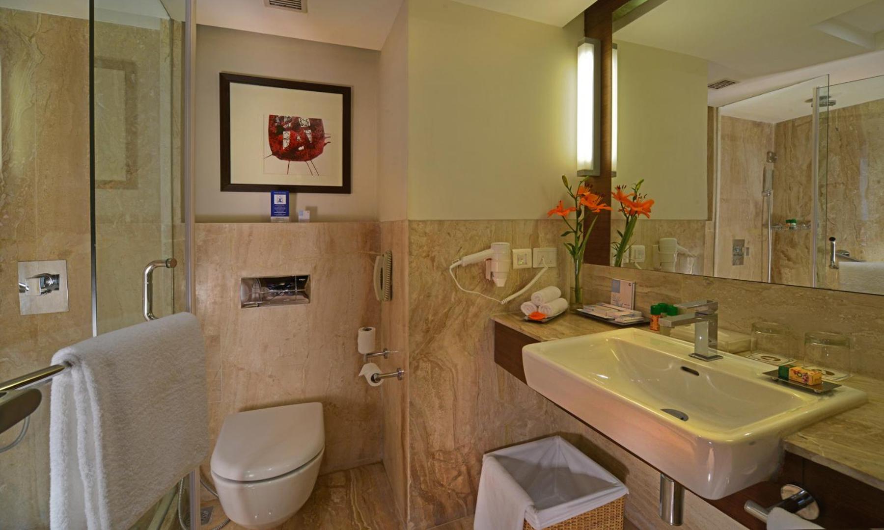 Deluxe Room photo 3