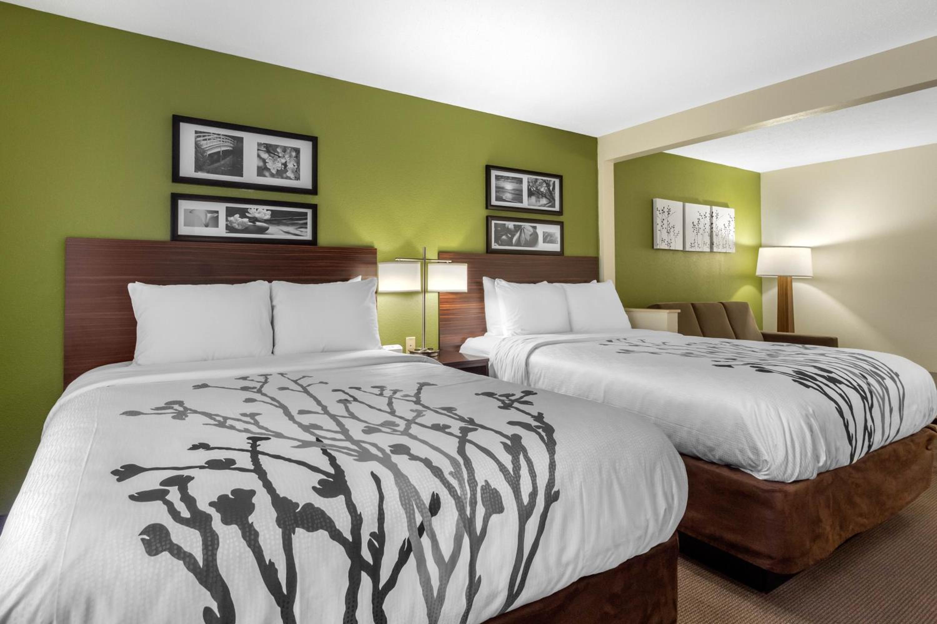 Queen Suite with Two Queen Beds - Non-Smoking - Photo 4