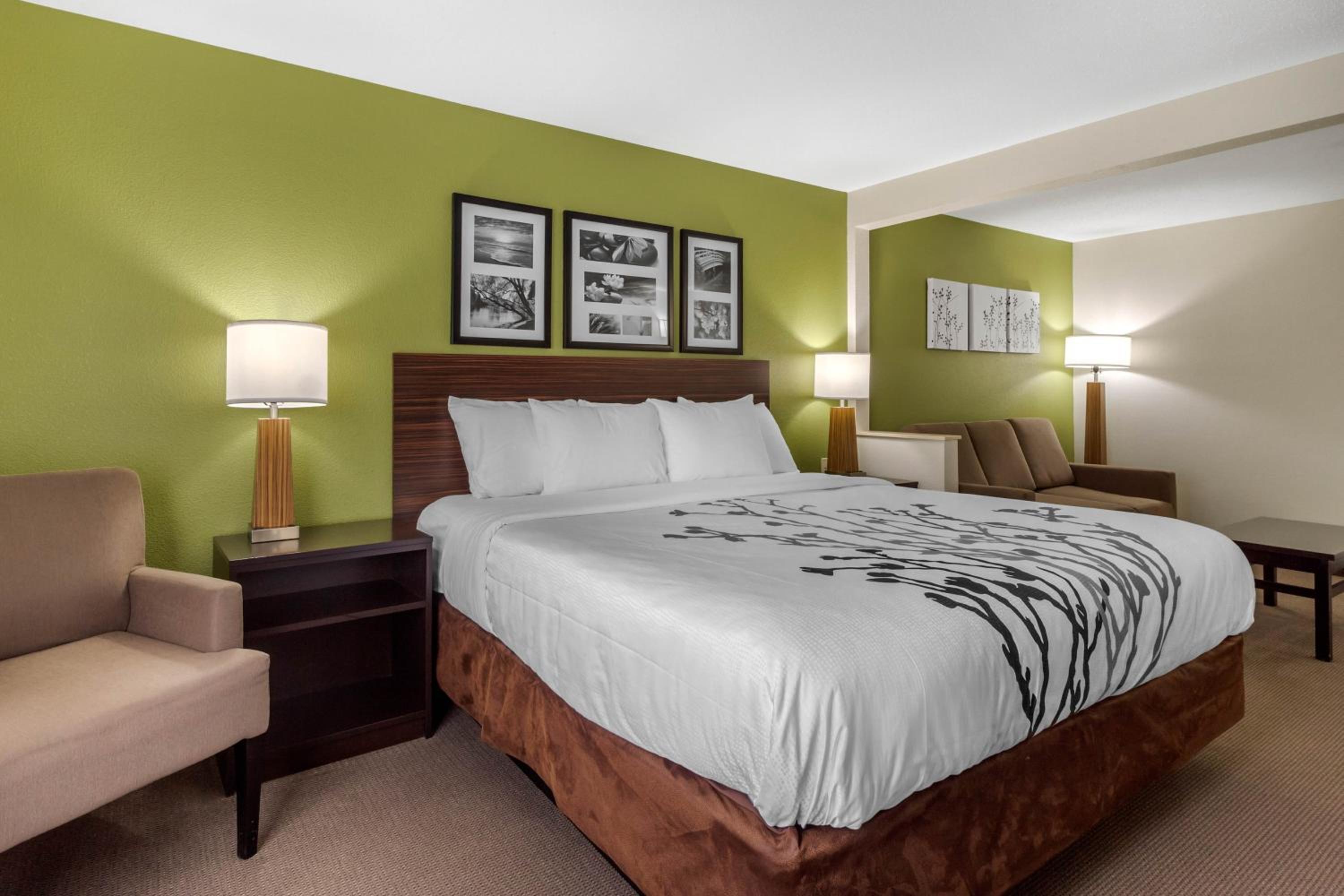 King Suite with Sofa Bed - Non-Smoking - Photo 1