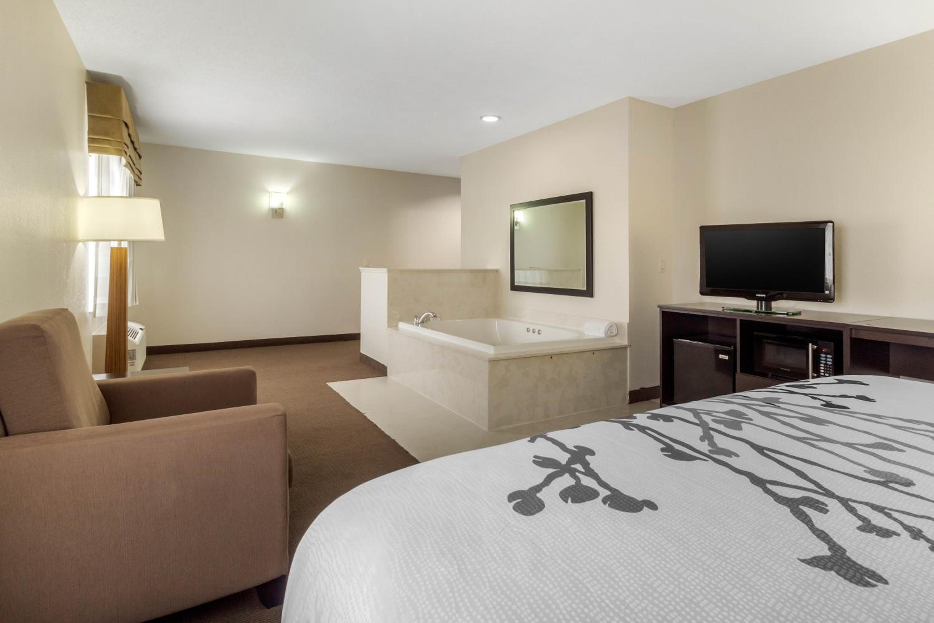 King Suite - Non-Smoking - Photo 4