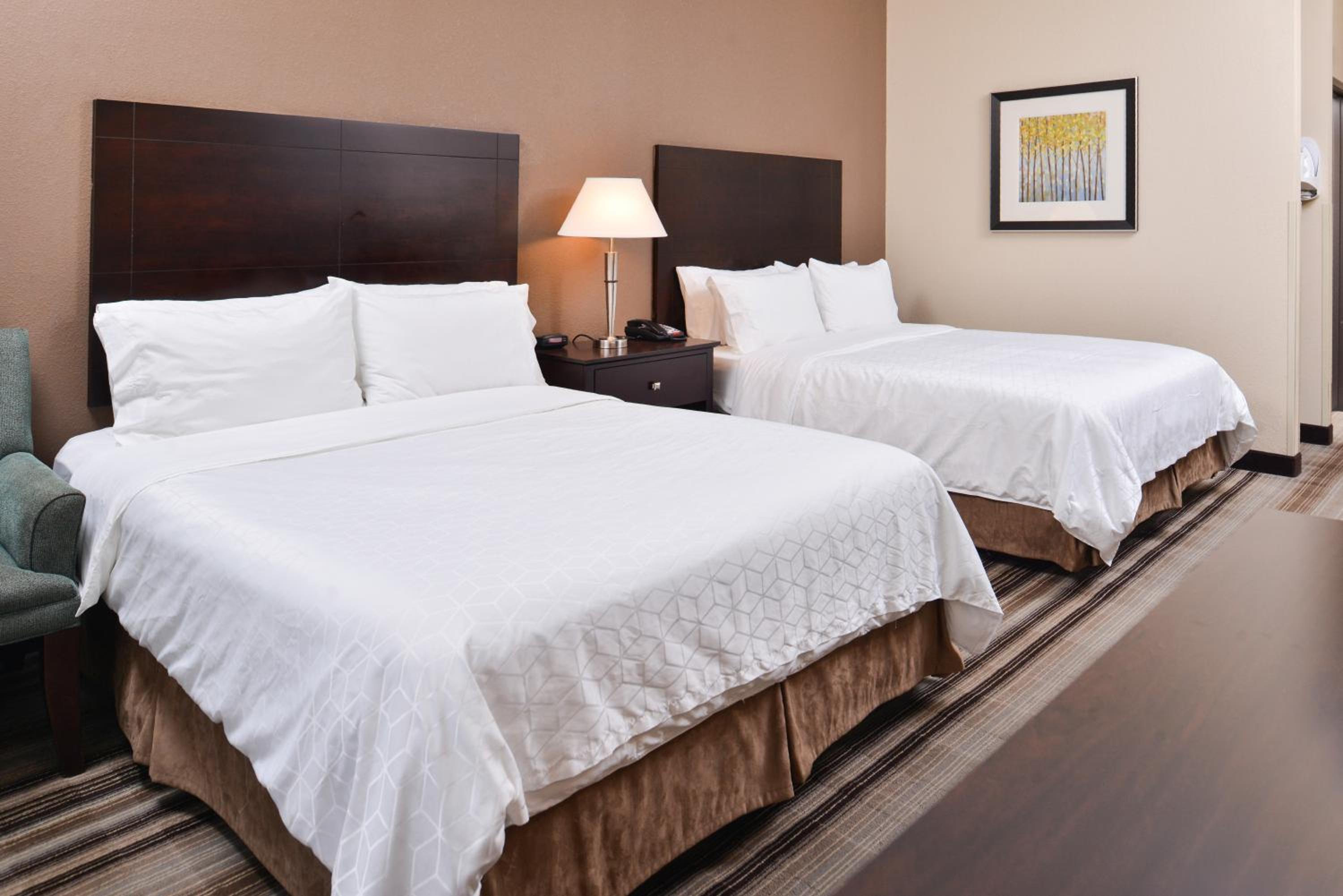 Holiday Inn Express & Suites Emporia Northwest by IHG, Photo 3