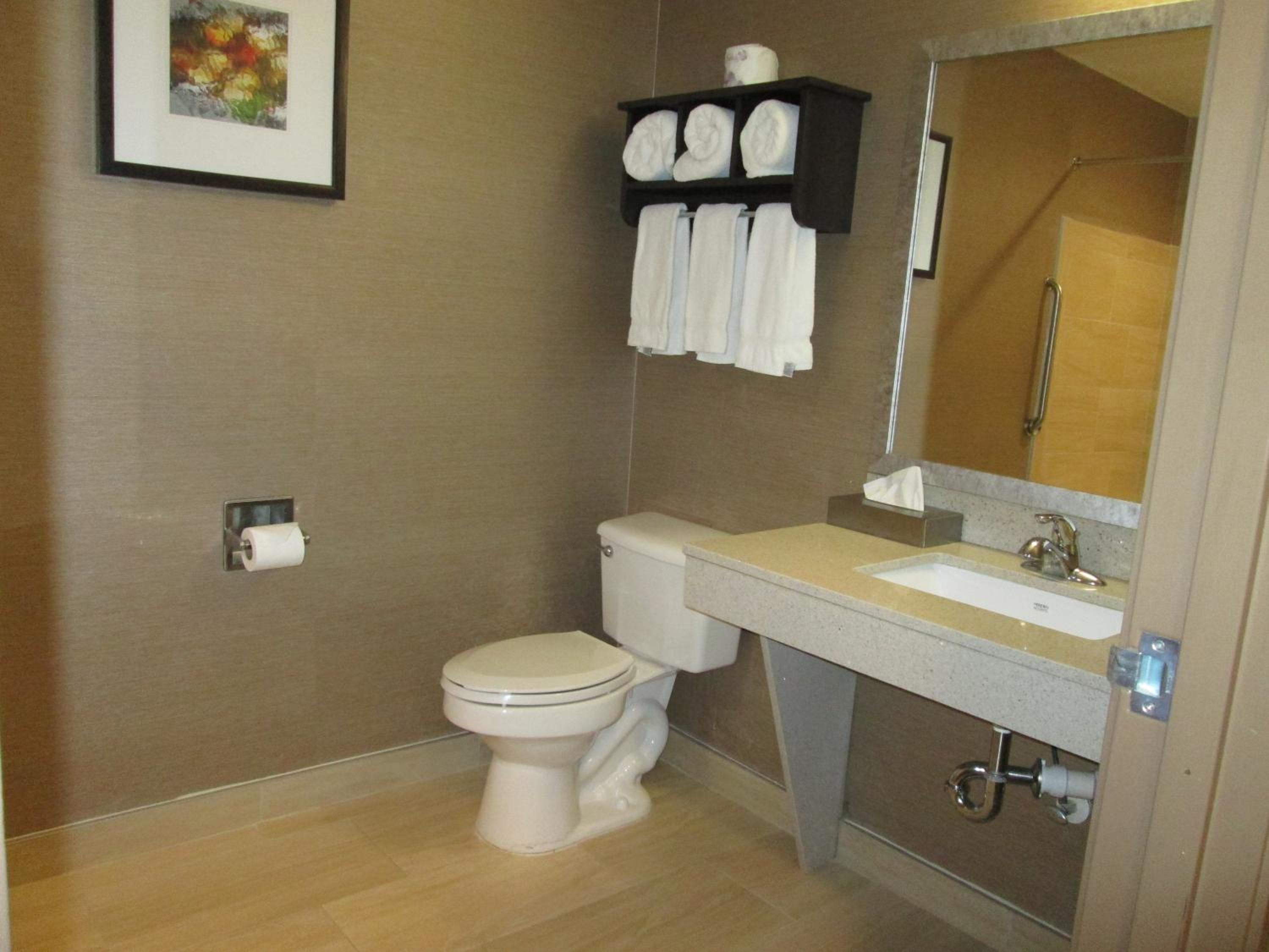 King Suite - Photo 6