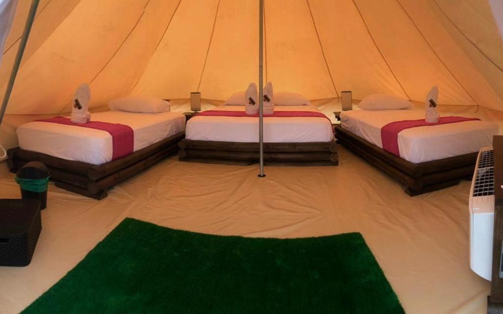 Double Room With Lake View photo 1