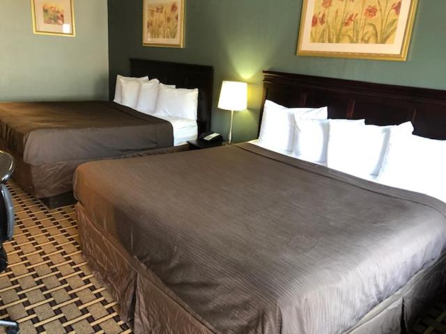 King Room with Two King Beds - Non-Smoking - Photo 1