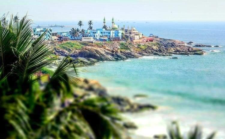 Deluxe Double or Twin Room with Ocean View photo 3