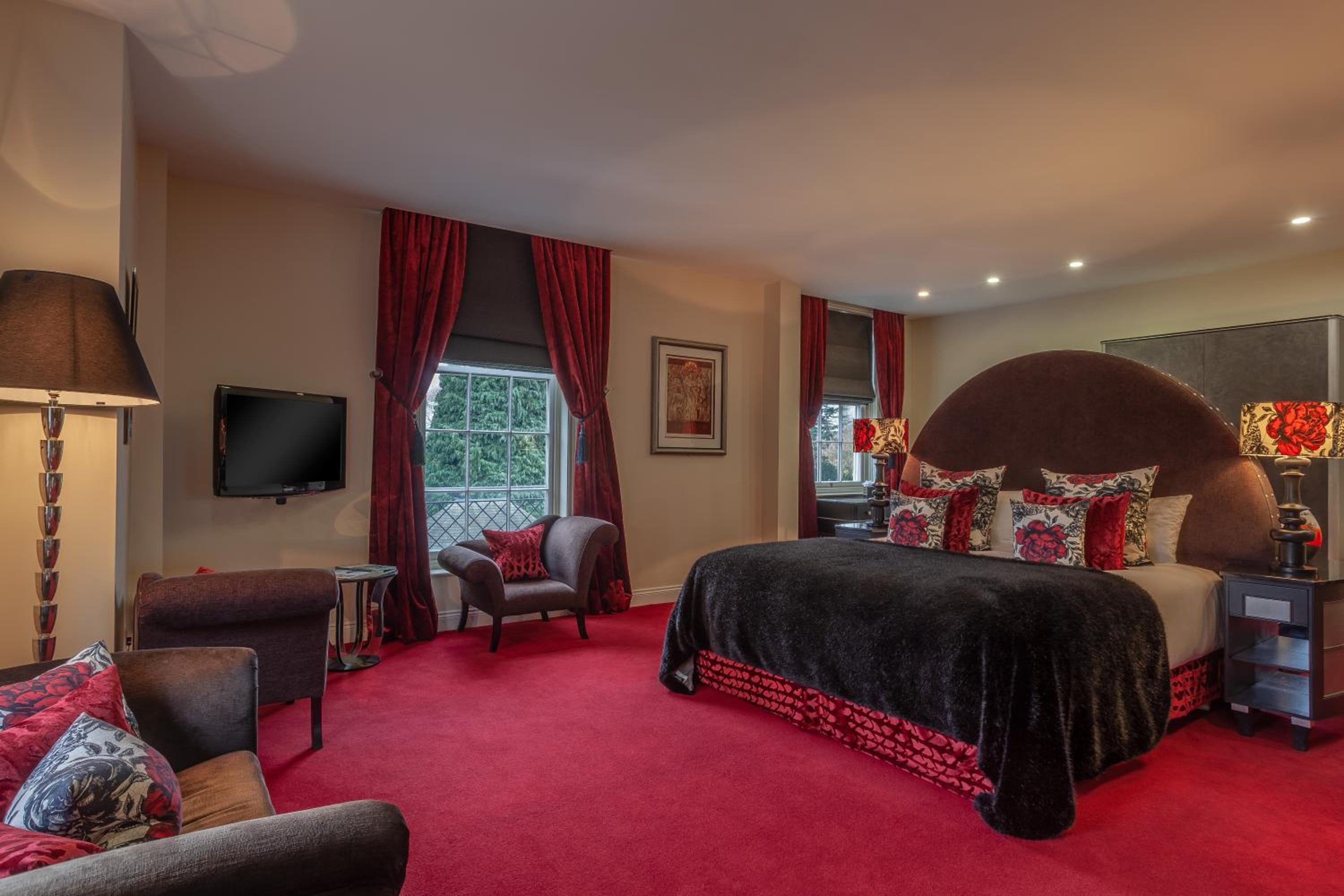 Suite - Photo 1