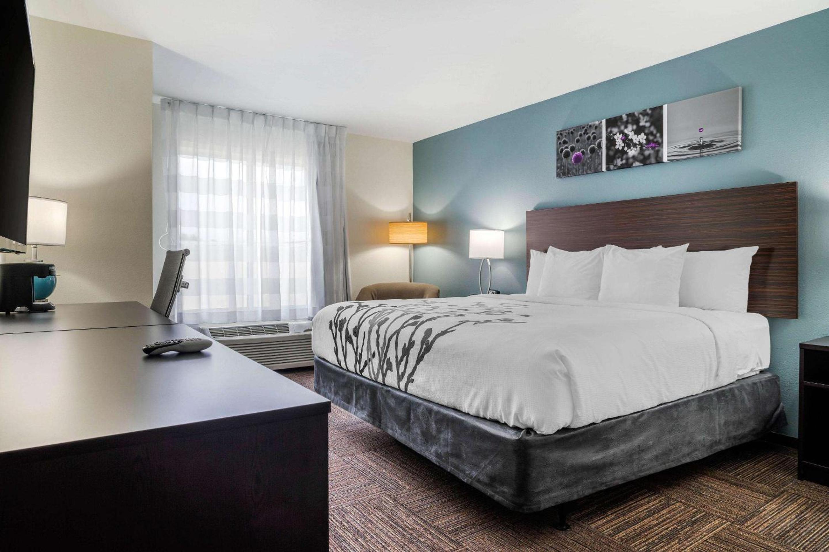 King Room - Accessible/Non-Smoking