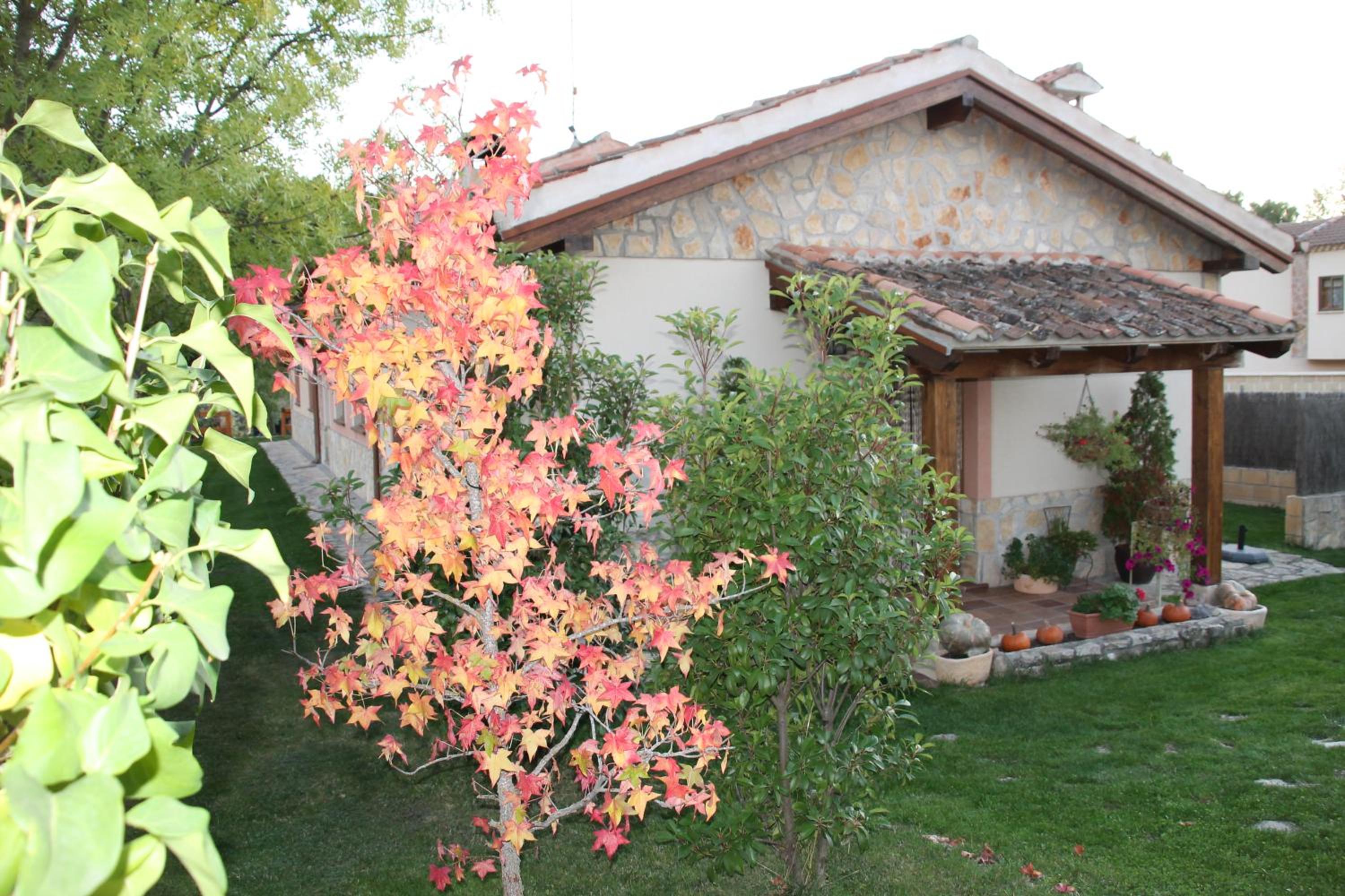 Two-Bedroom House photo 2