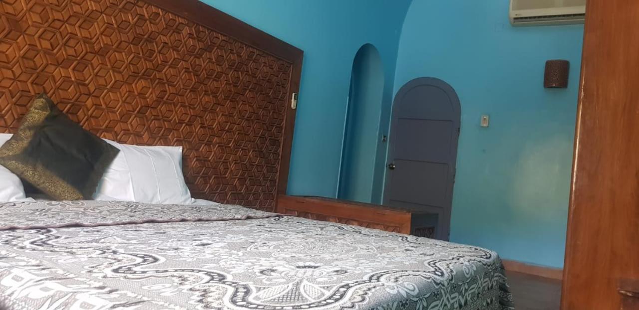 Deluxe Double Room with Private Bathroom With Garden View - Photo 50