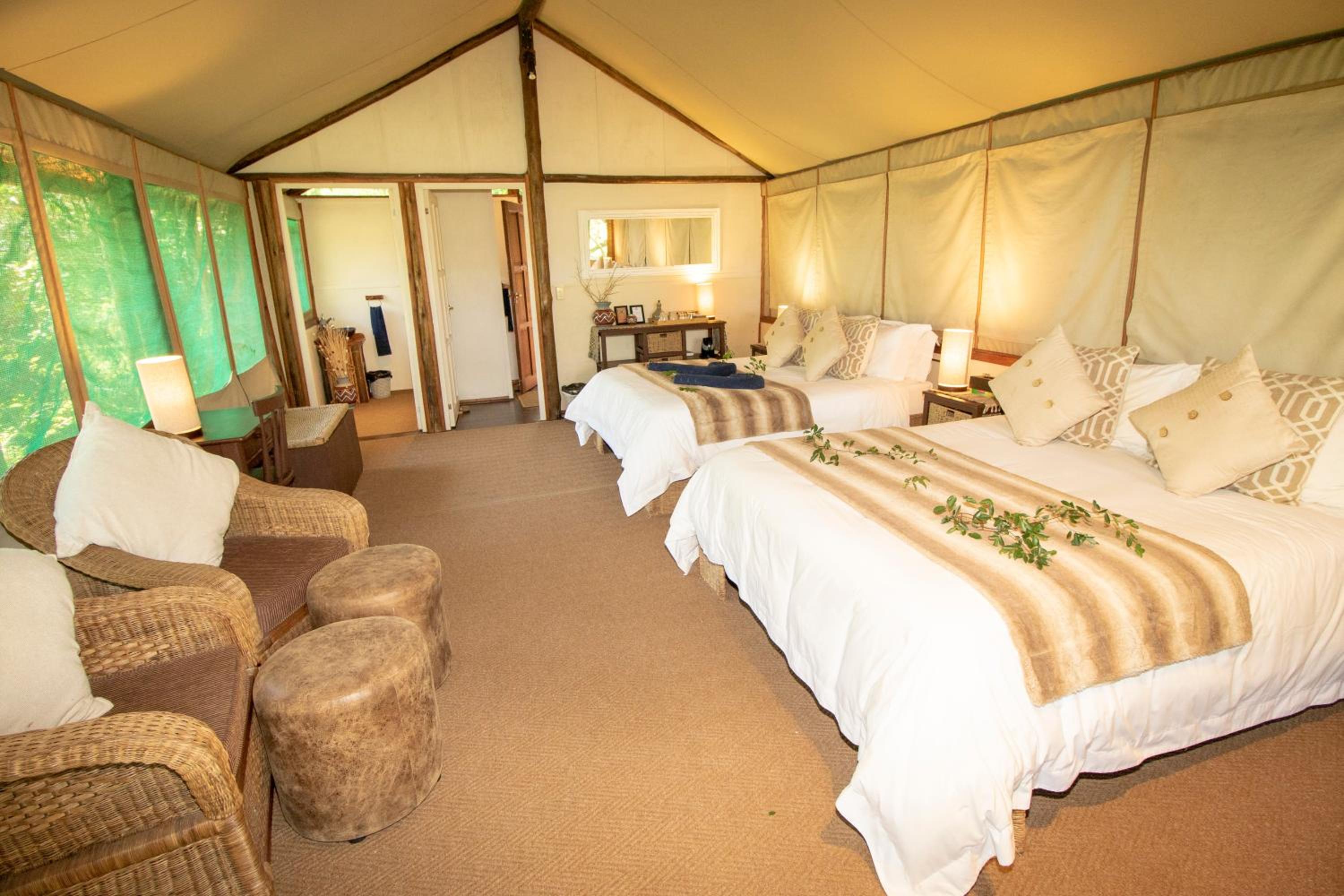 Standard Family Safari Tent (TS9) photo 1