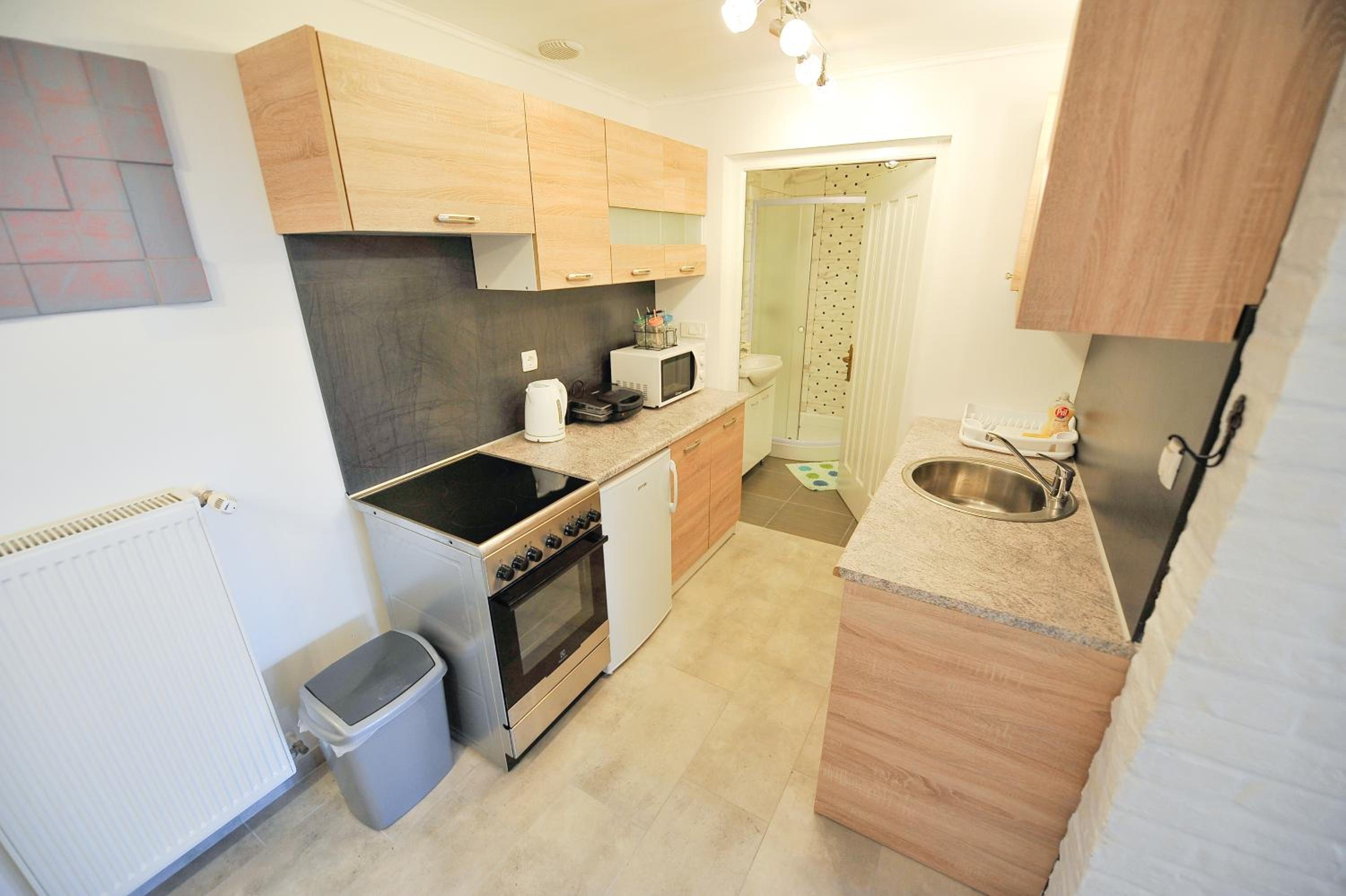 One Bedroom Apartment photo 3