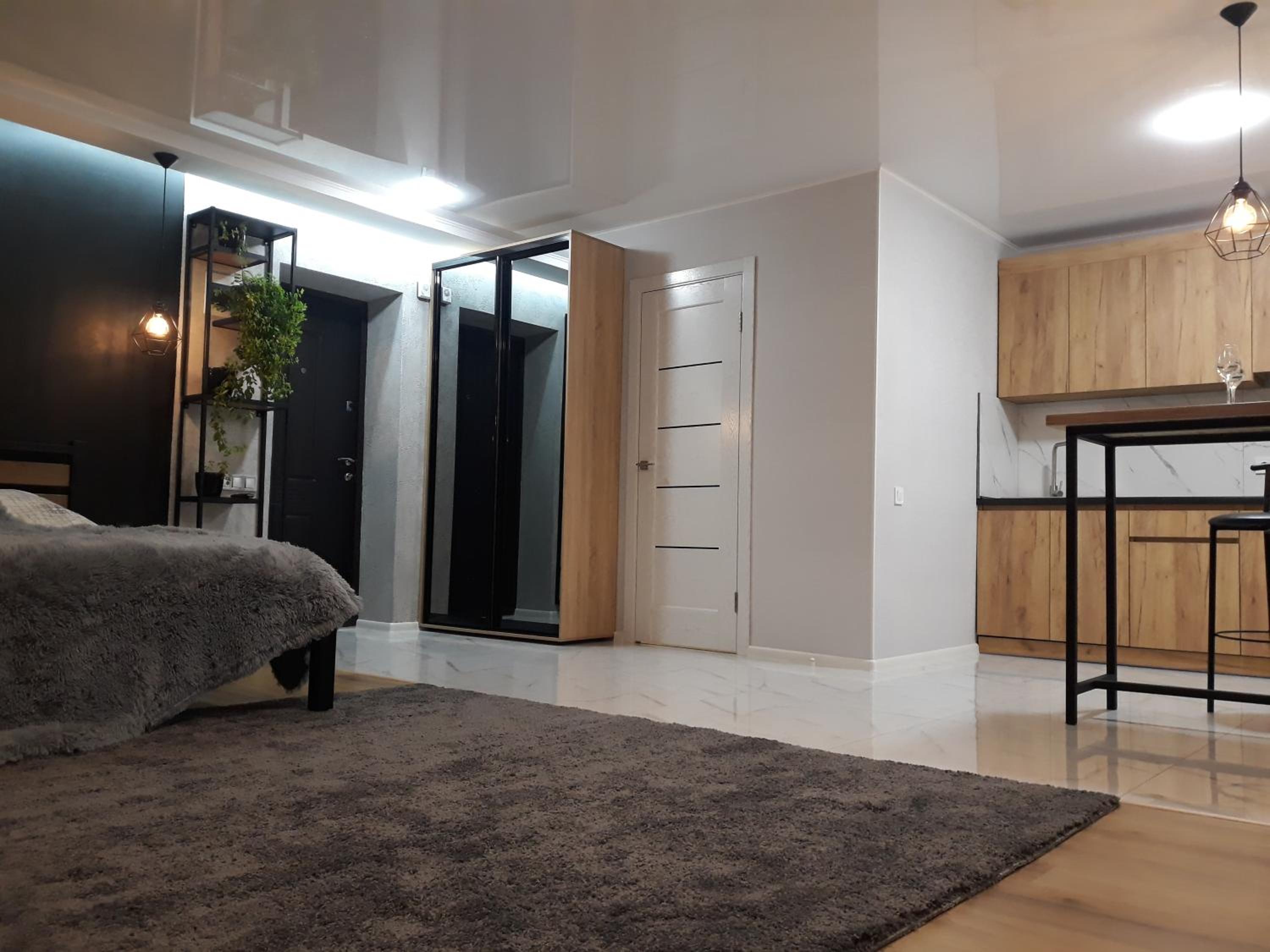 One-Bedroom Apartment photo 3