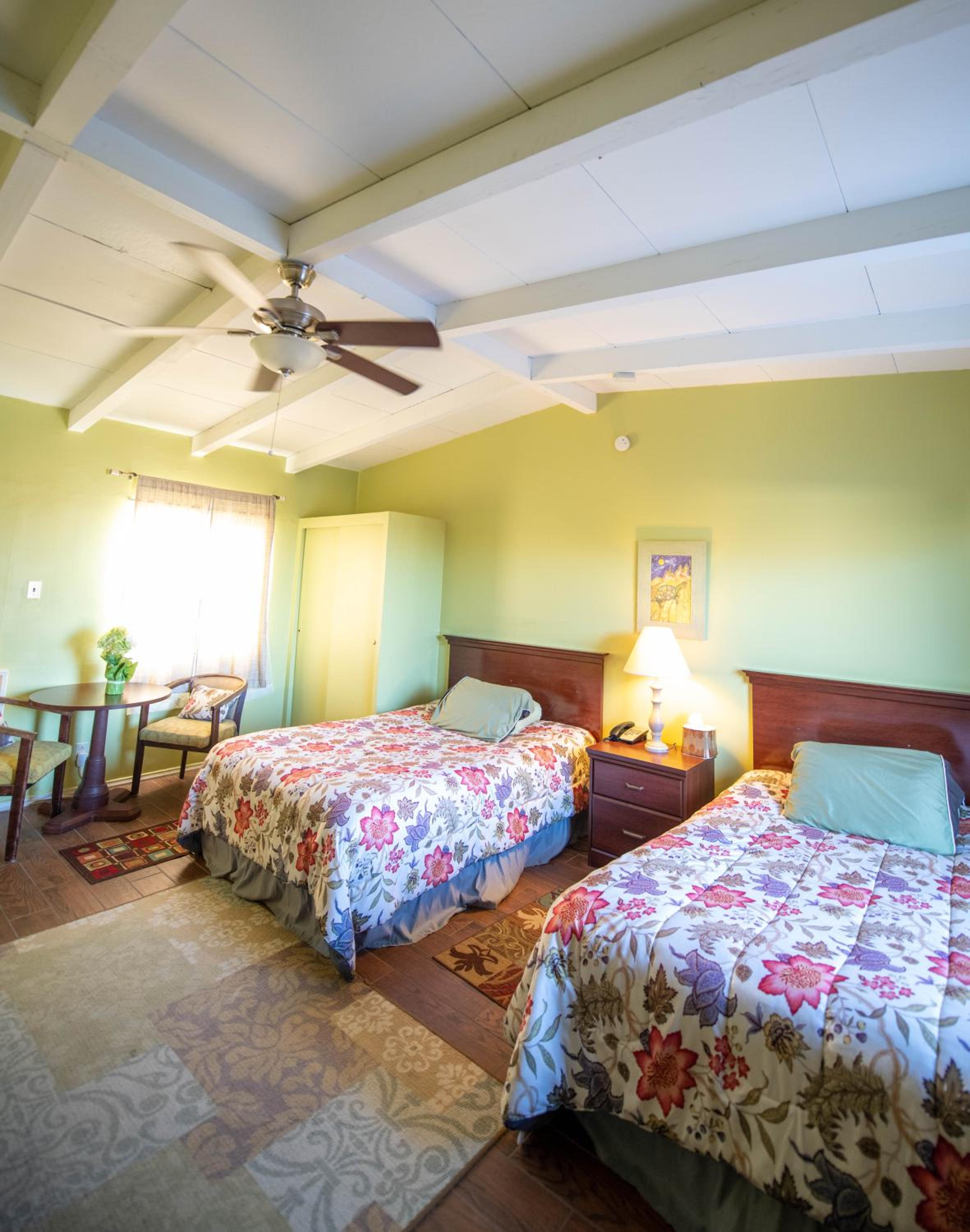Standard Room w/ 2-full beds photo 1