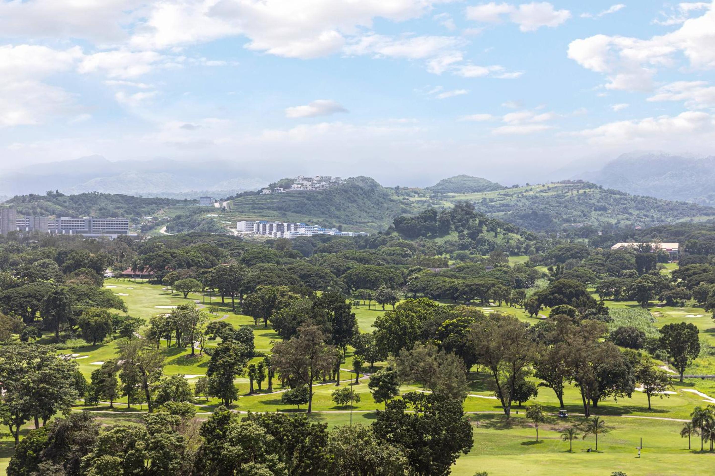 Executive Suite, Executive lounge access, 1 King, Golf view photo 3