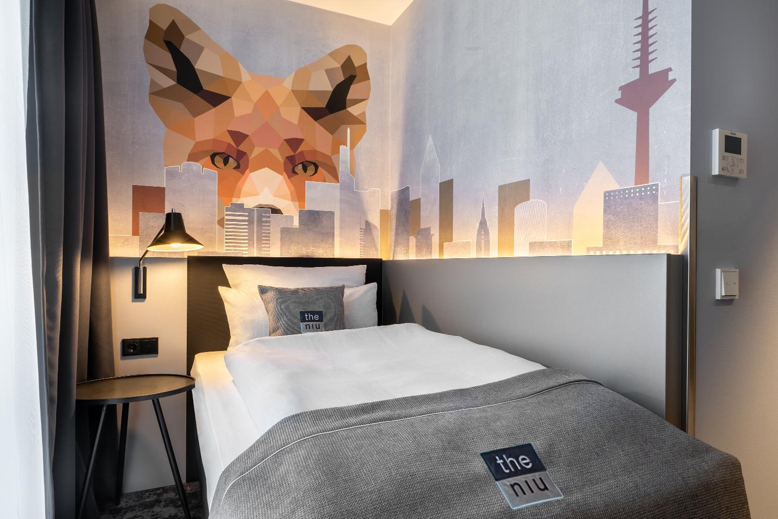 Single Room photo 2
