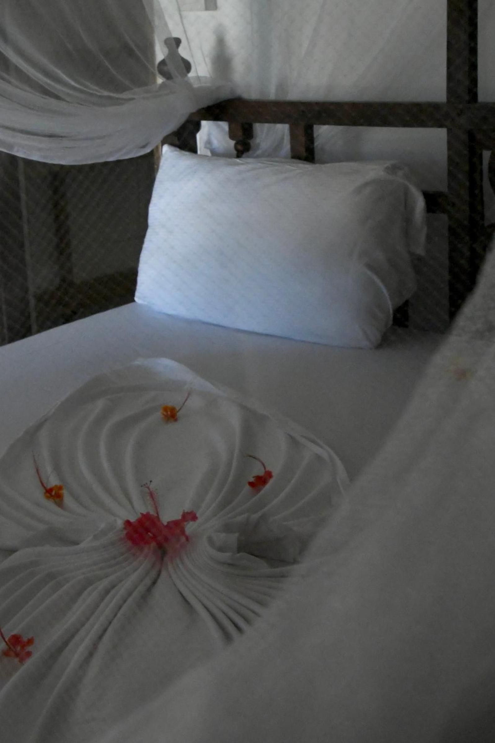 Double Room with Garden View photo 1